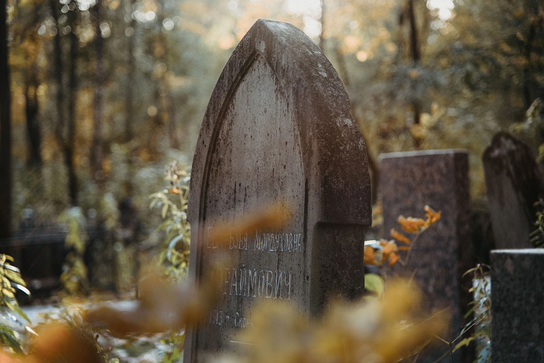 A weathered arched headstone in a wooded cemetery, autumn leaves in the foreground