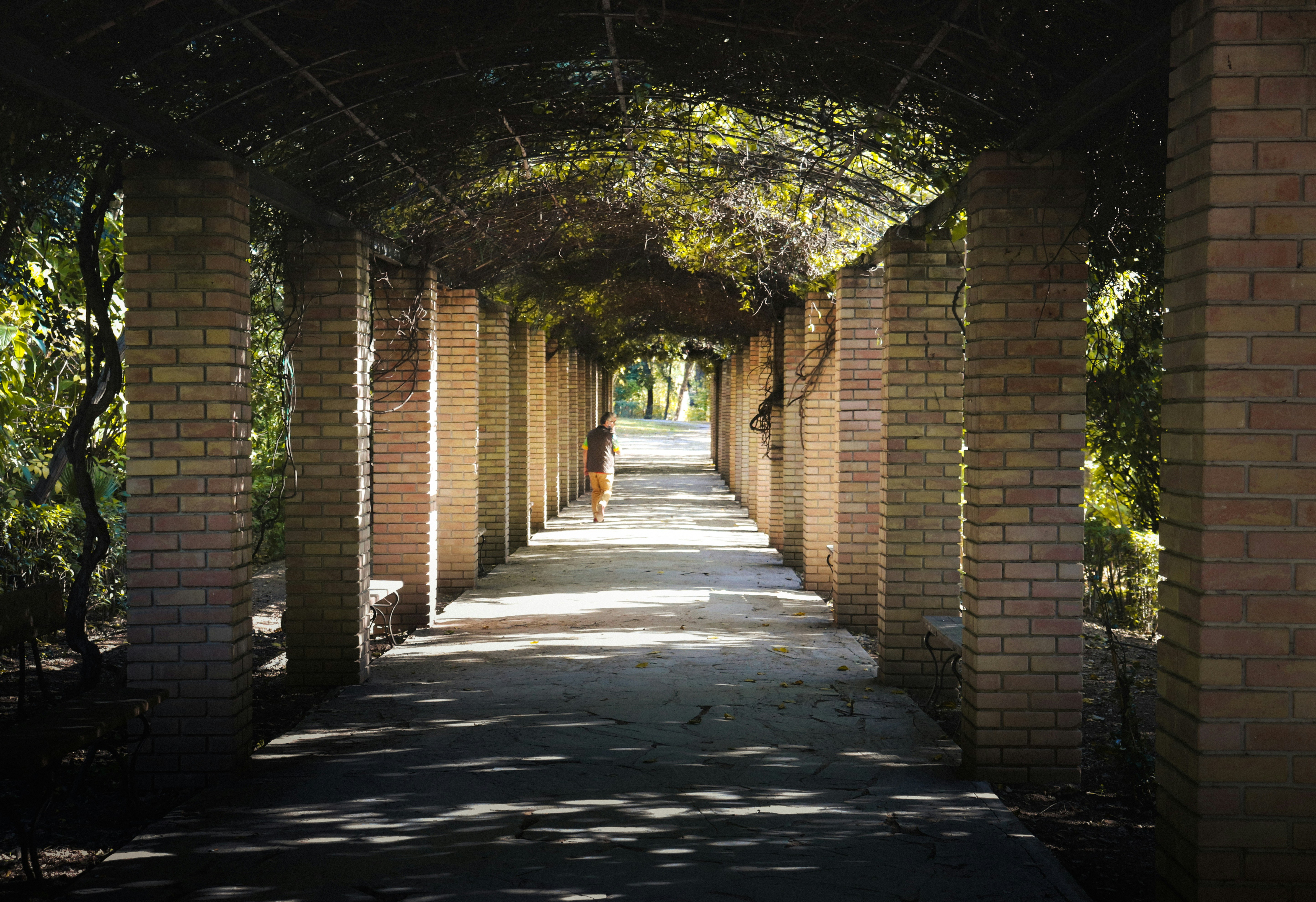 Photo by dyrophotography