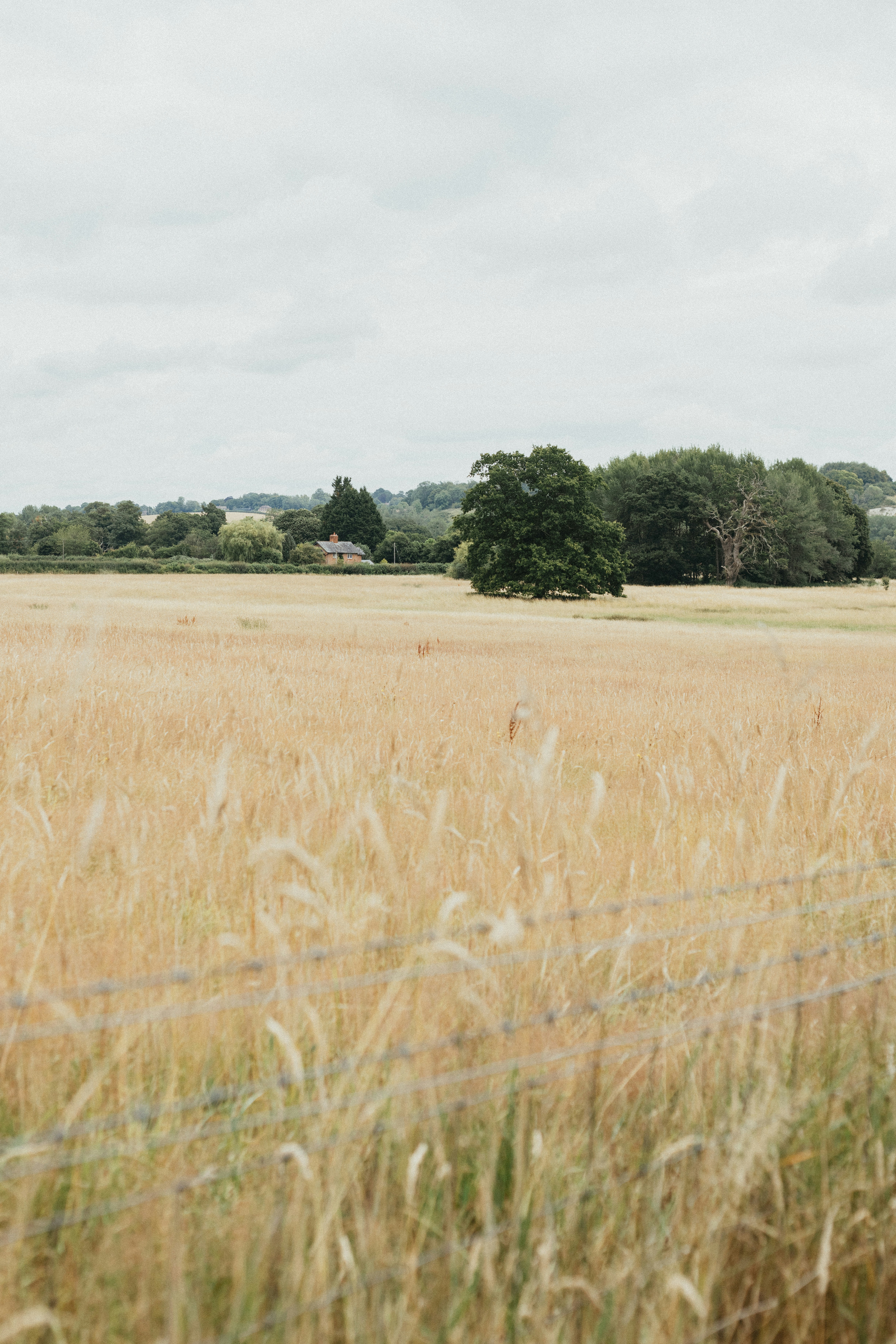 Photo by anniespratt