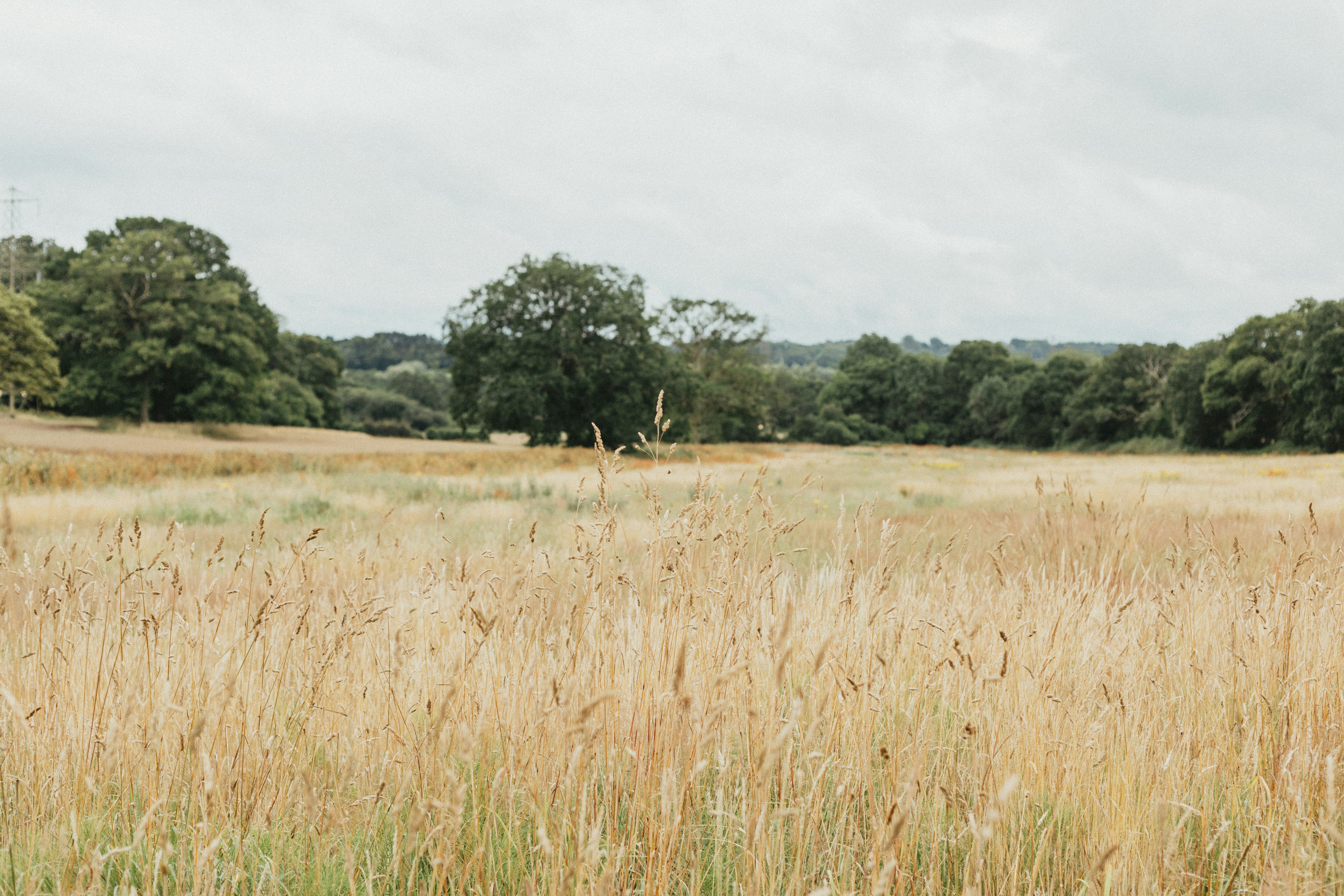 Photo by anniespratt