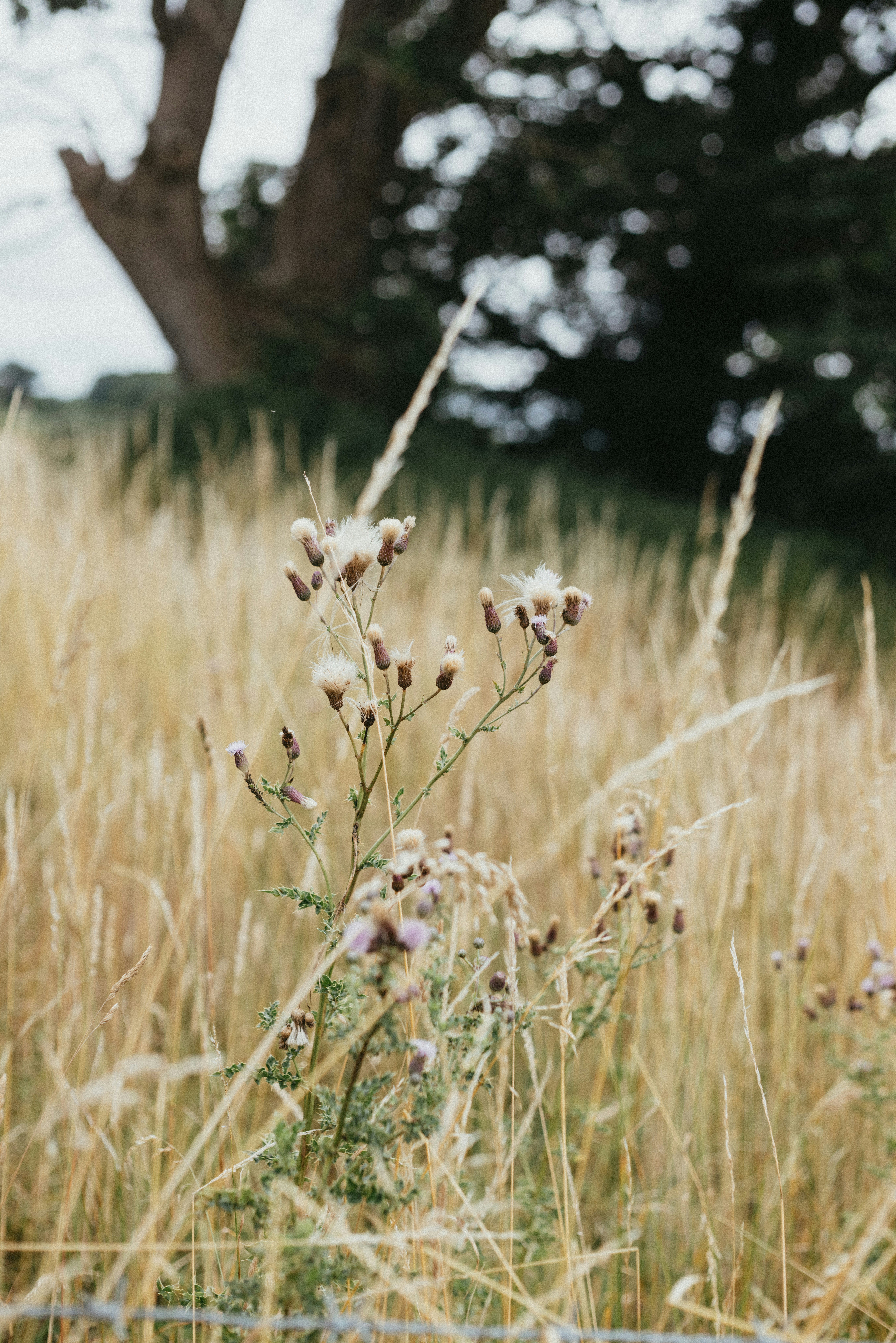 Photo by anniespratt