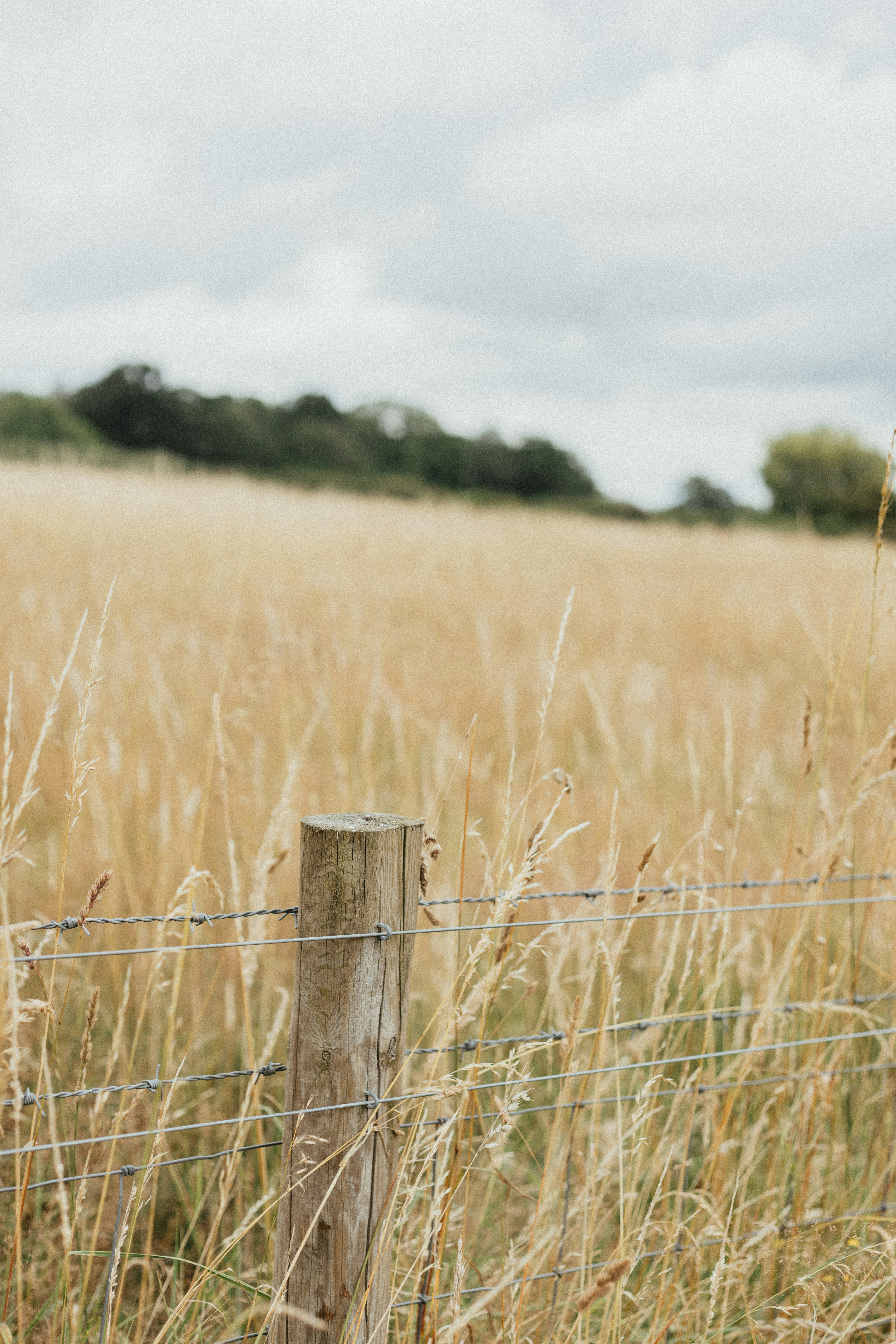 Photo by anniespratt