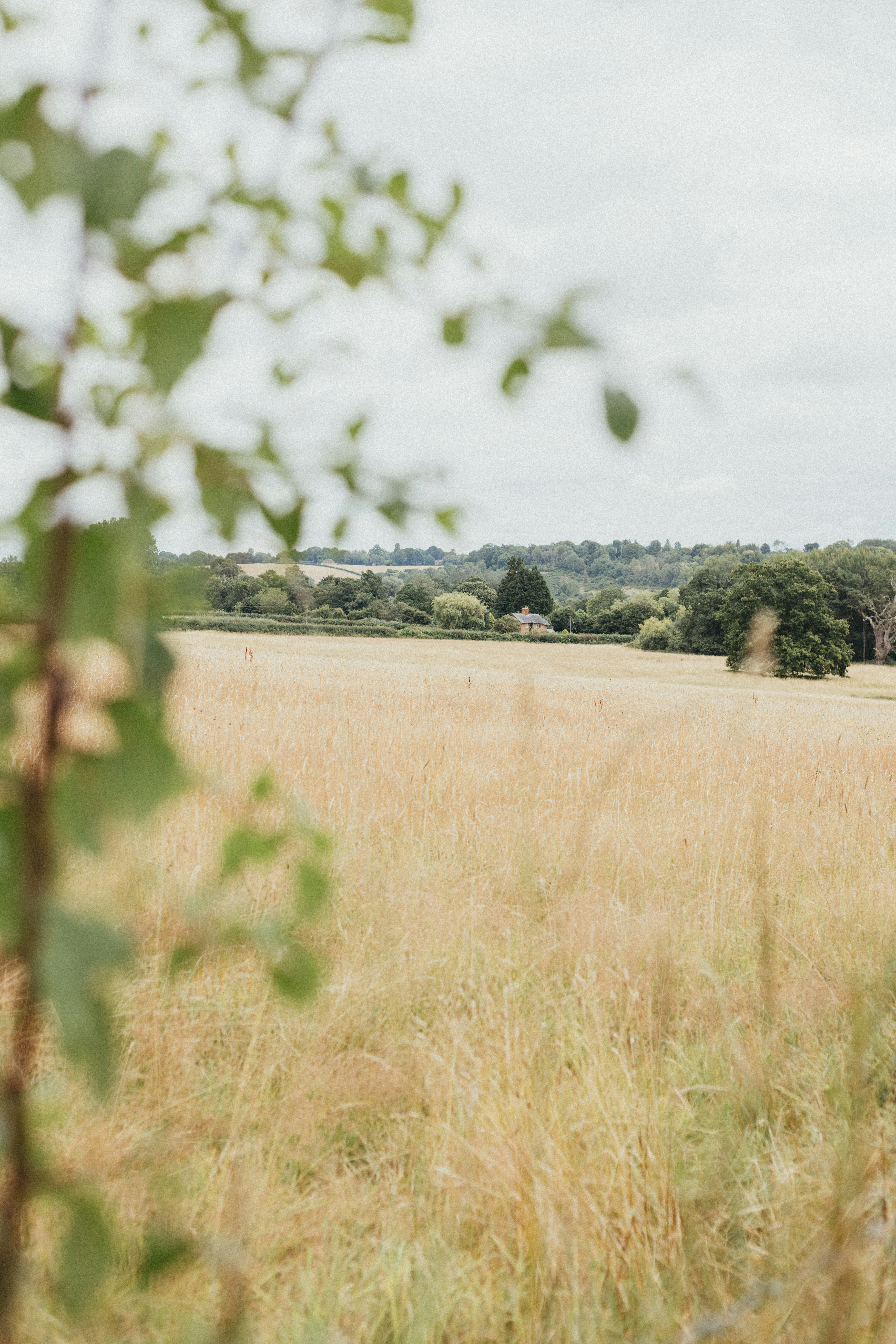 Photo by anniespratt