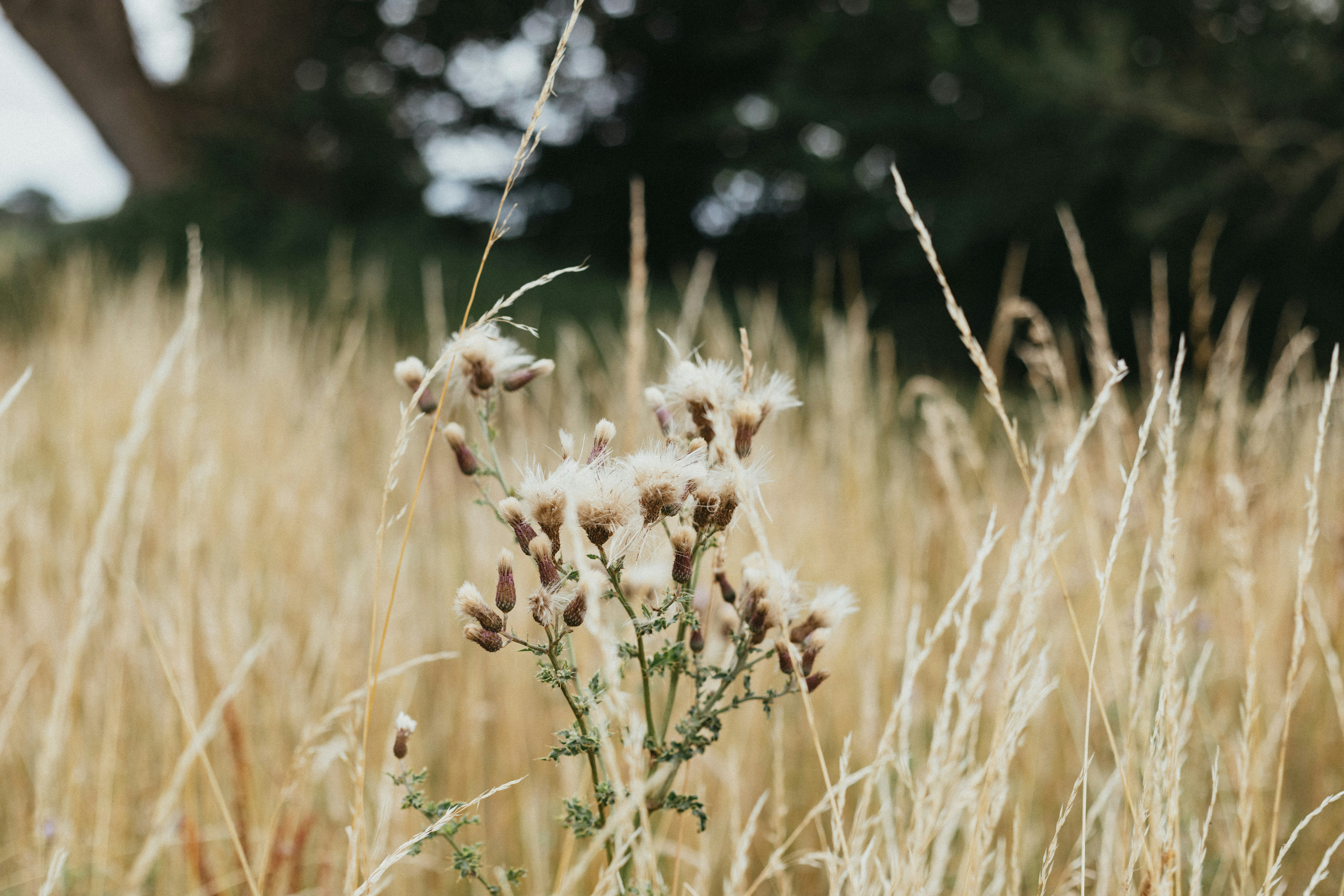 Photo by anniespratt