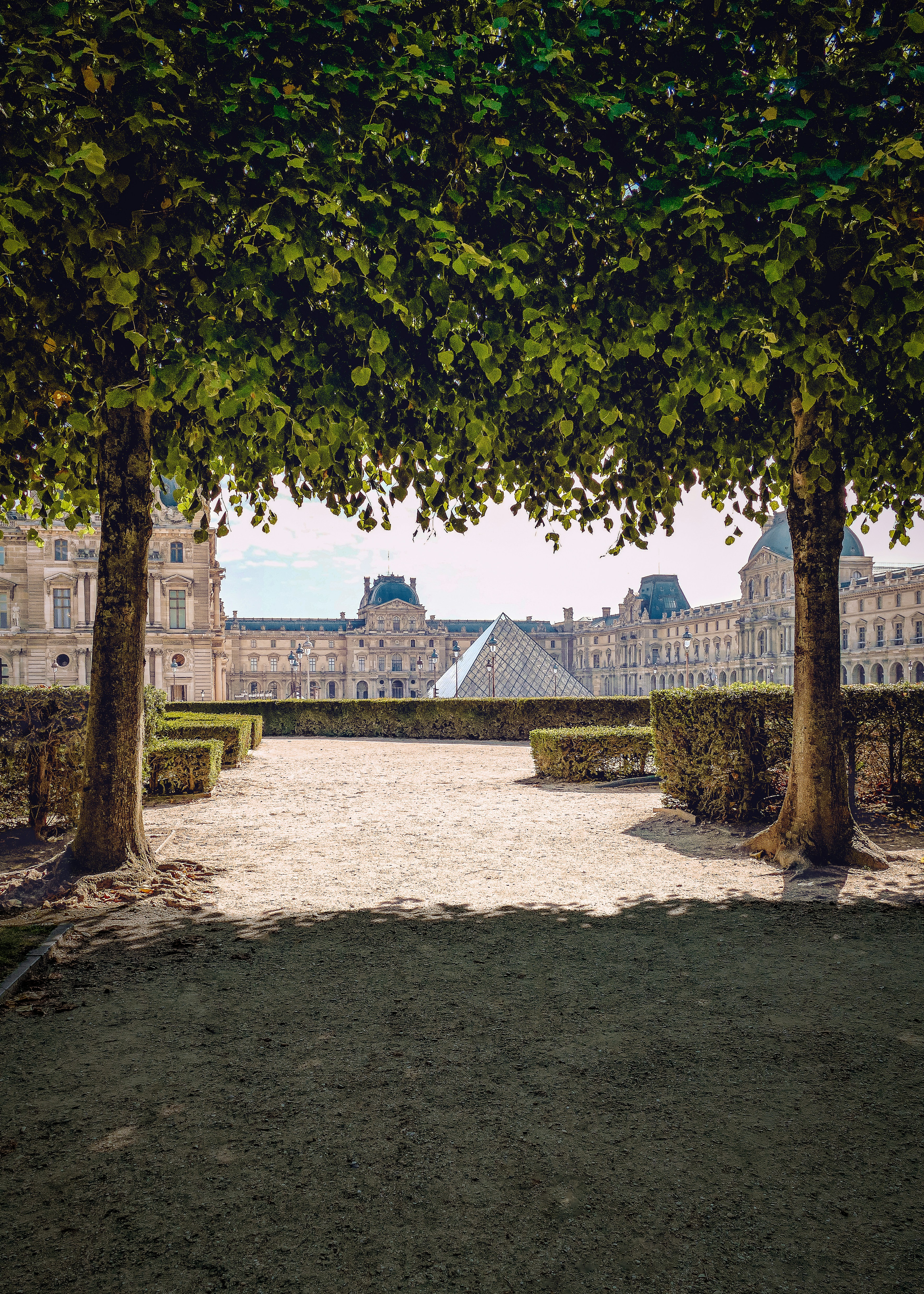 Ein Gehweg zwischen zwei Bäumen in einem Park