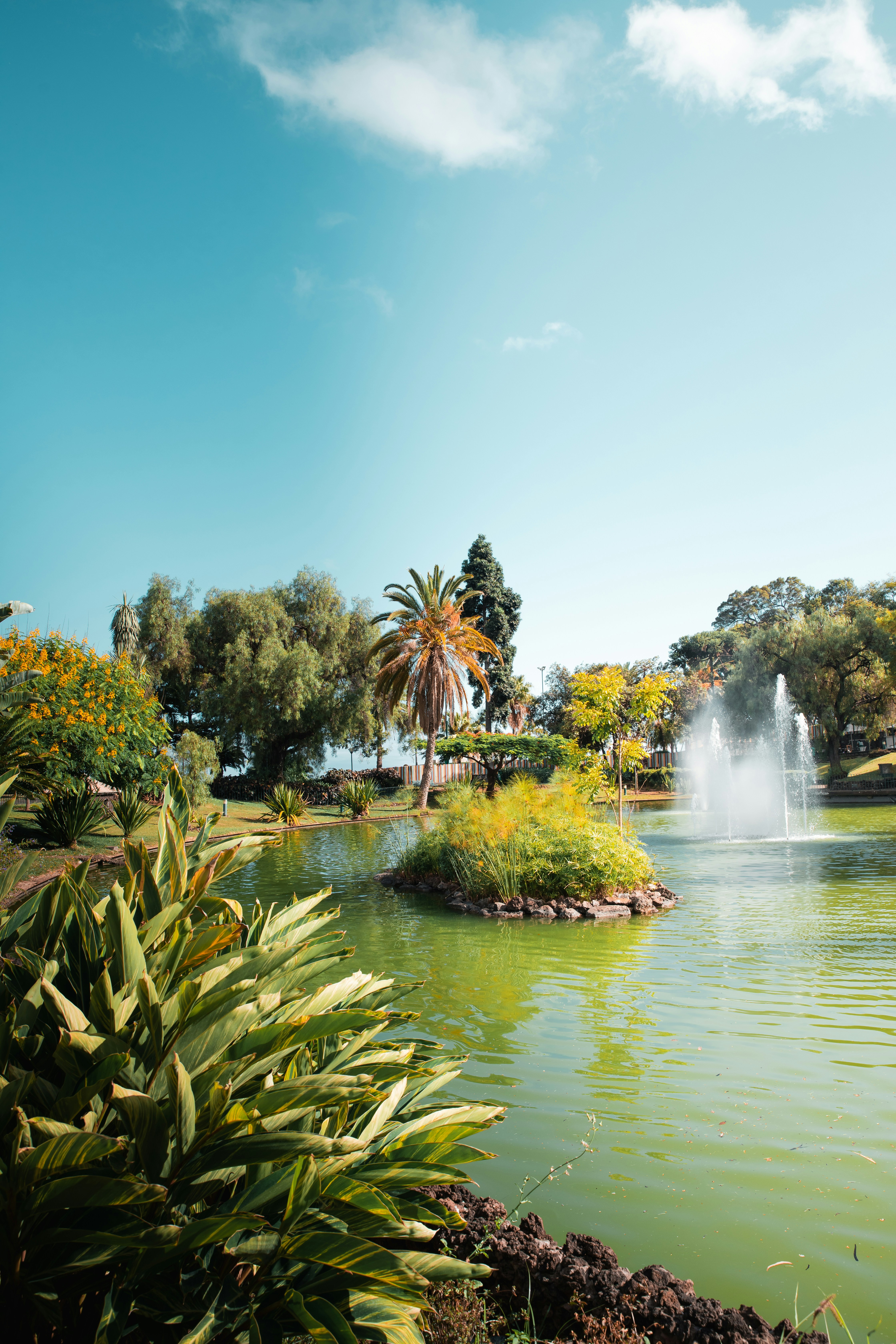 A pond with a fountain surrounded by trees