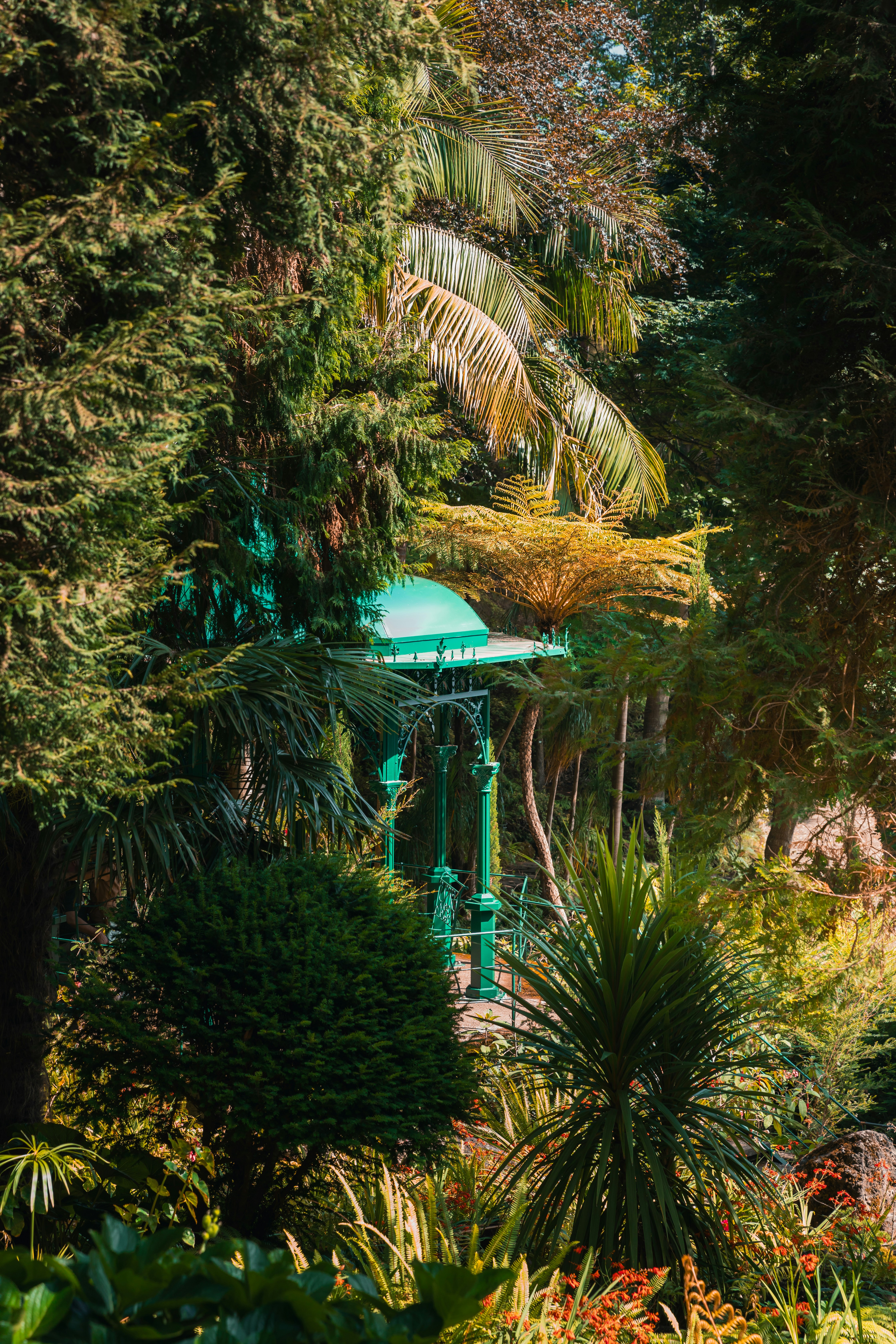 A green gazebo surrounded by trees and plants