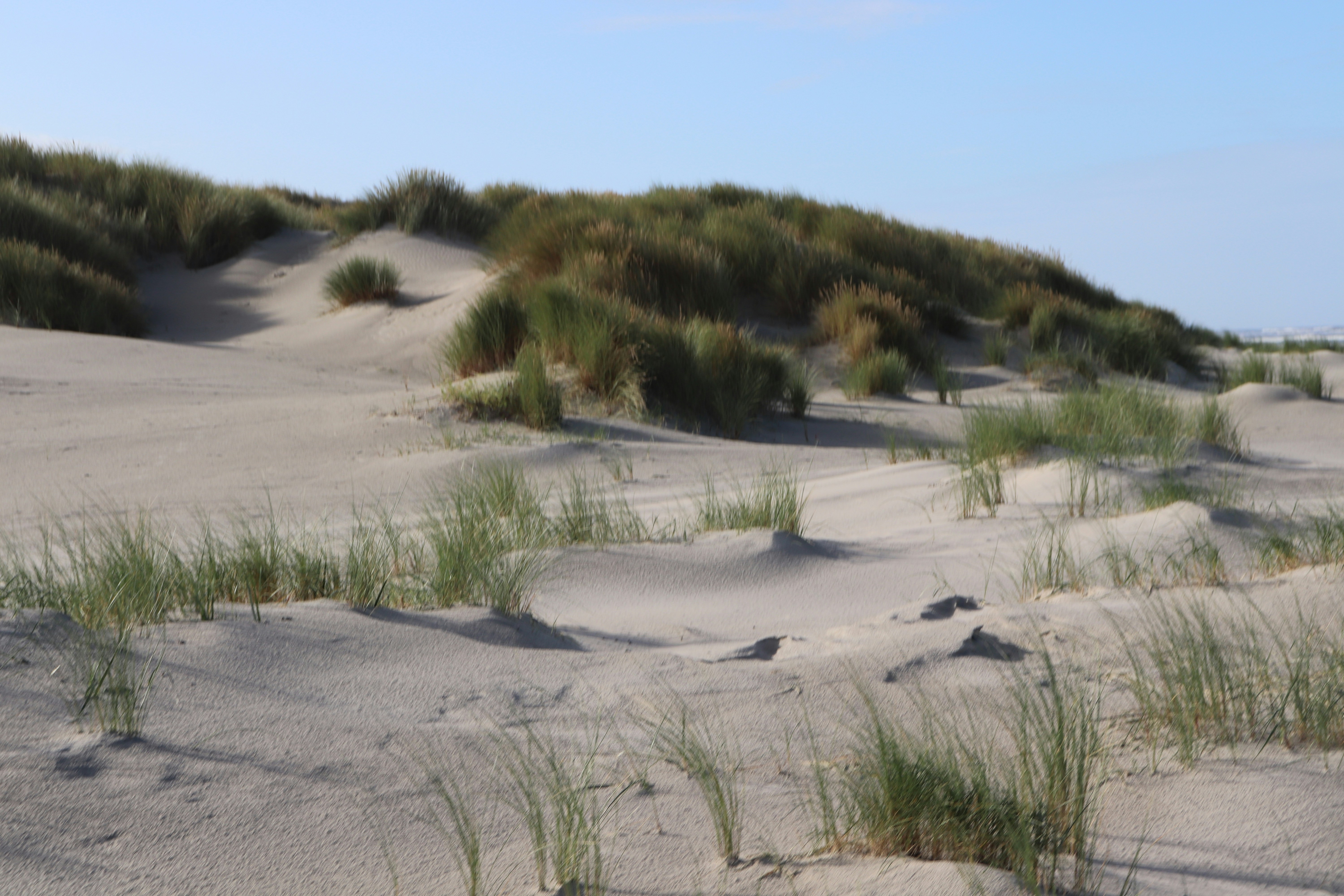 Photo by justmejuliee