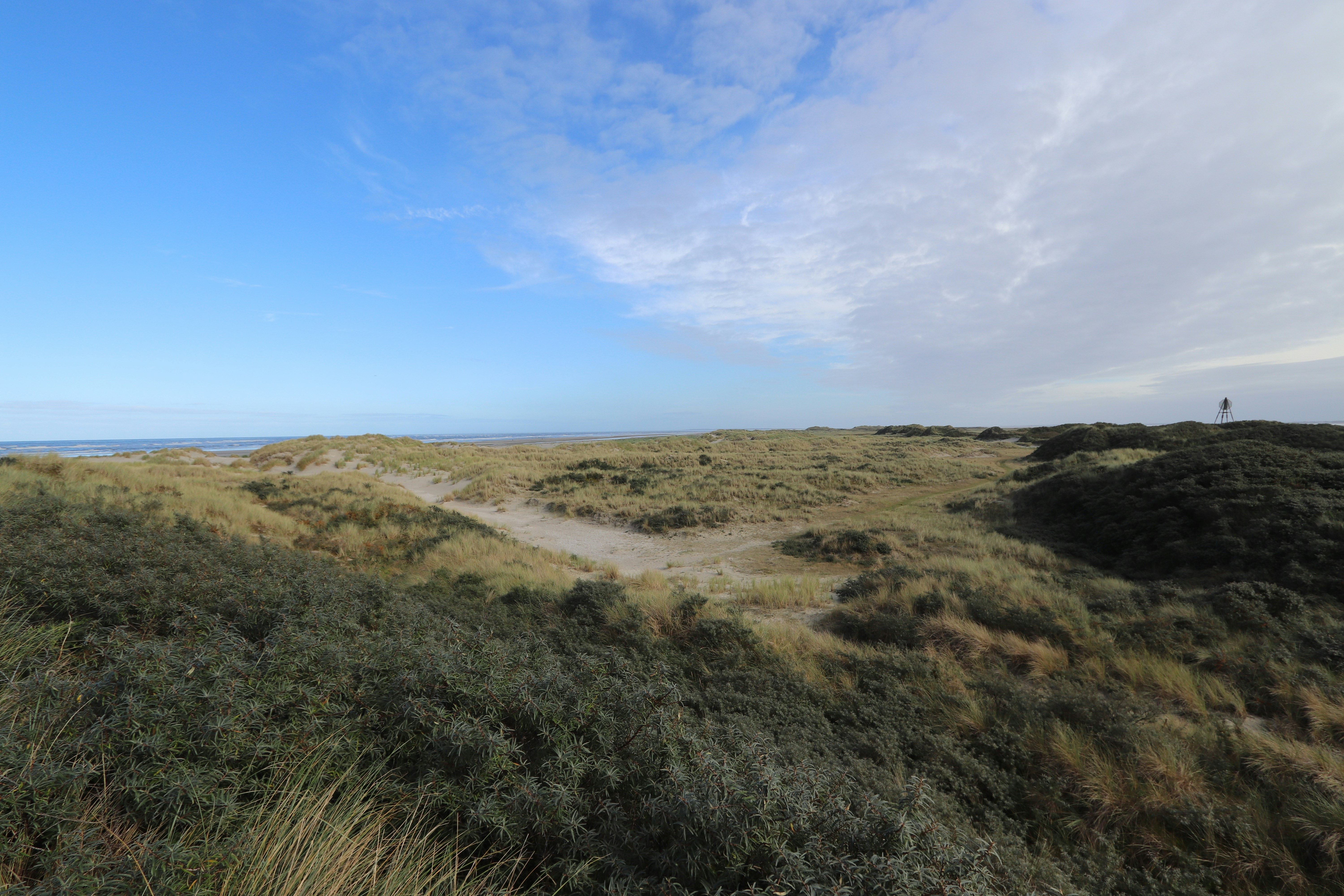 Photo by justmejuliee