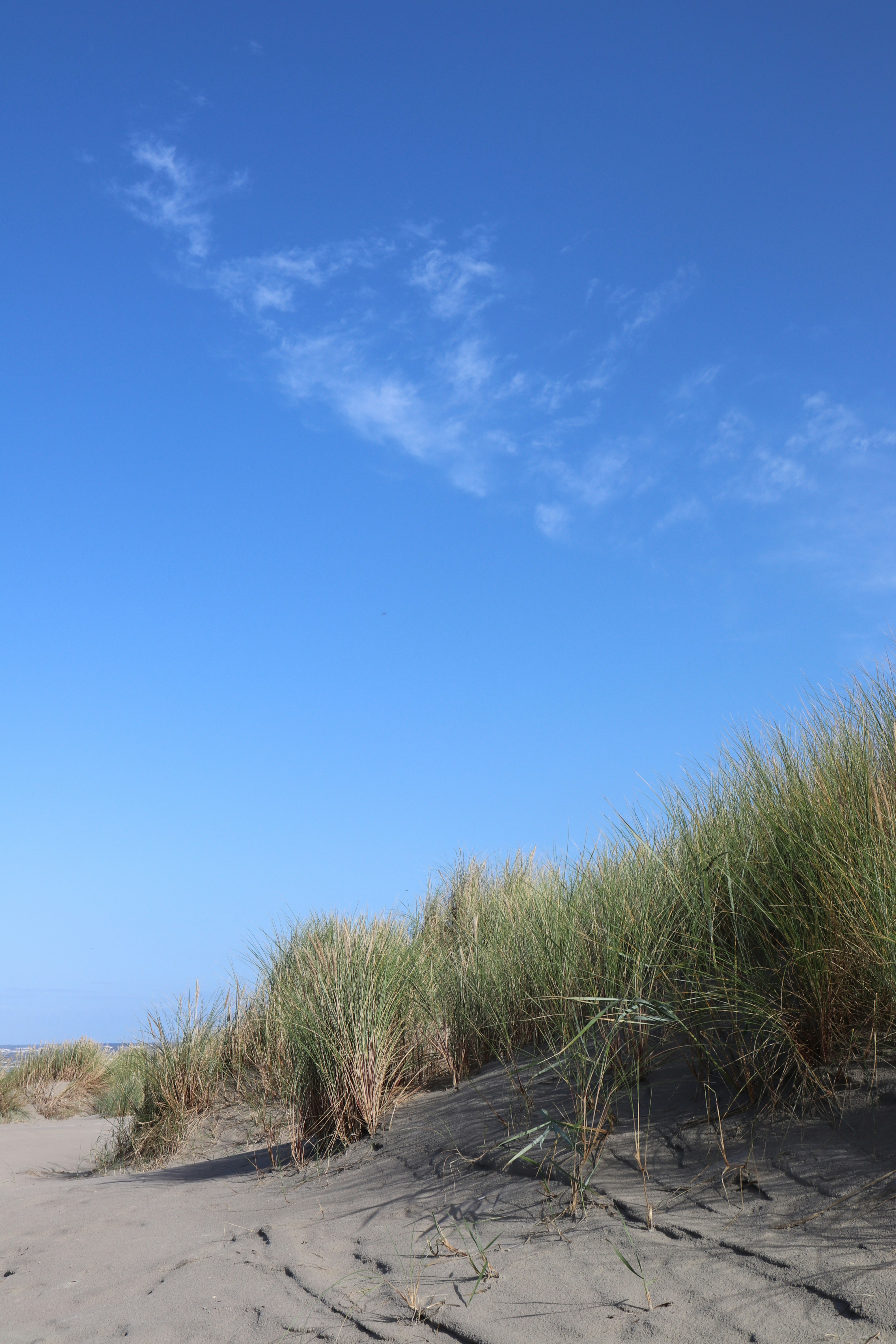 Photo by justmejuliee