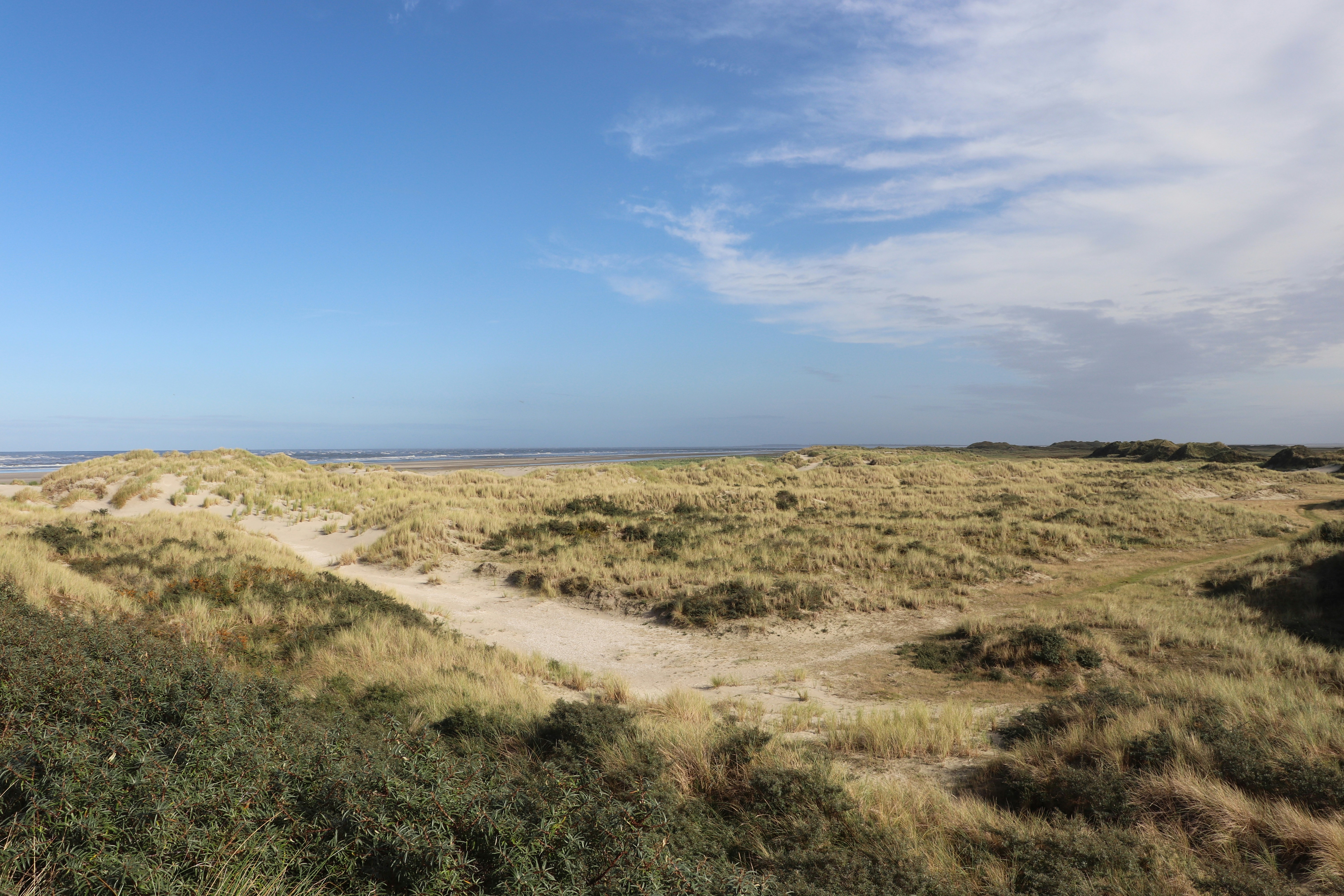 Photo by justmejuliee