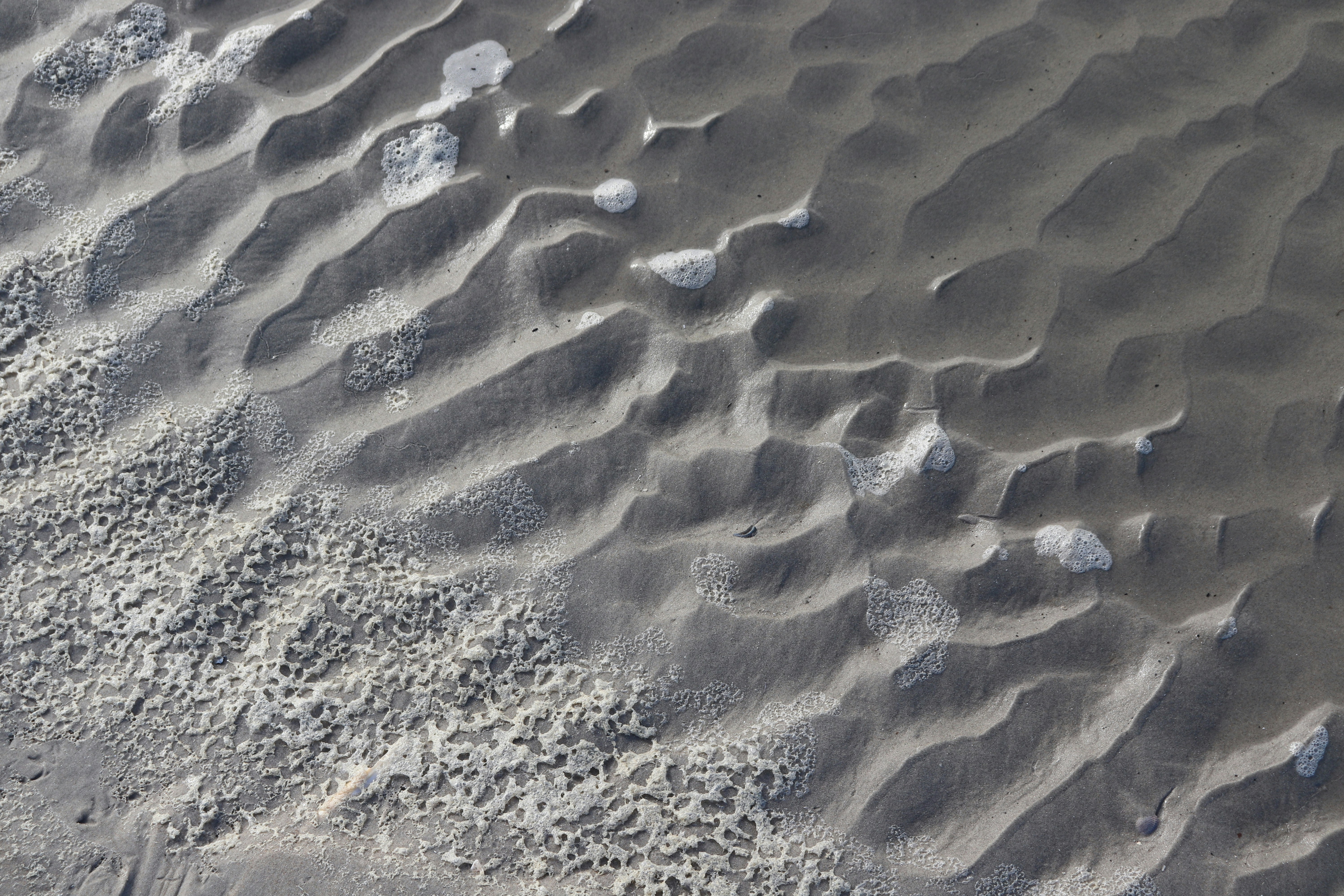 Photo by justmejuliee