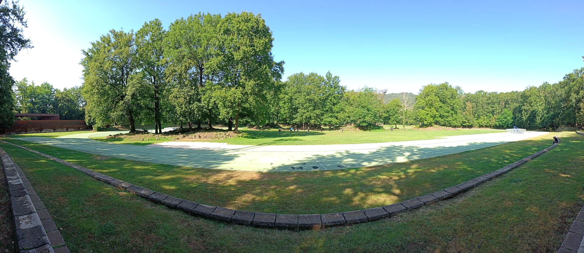 A panoramic view of a grassy field with trees in the background