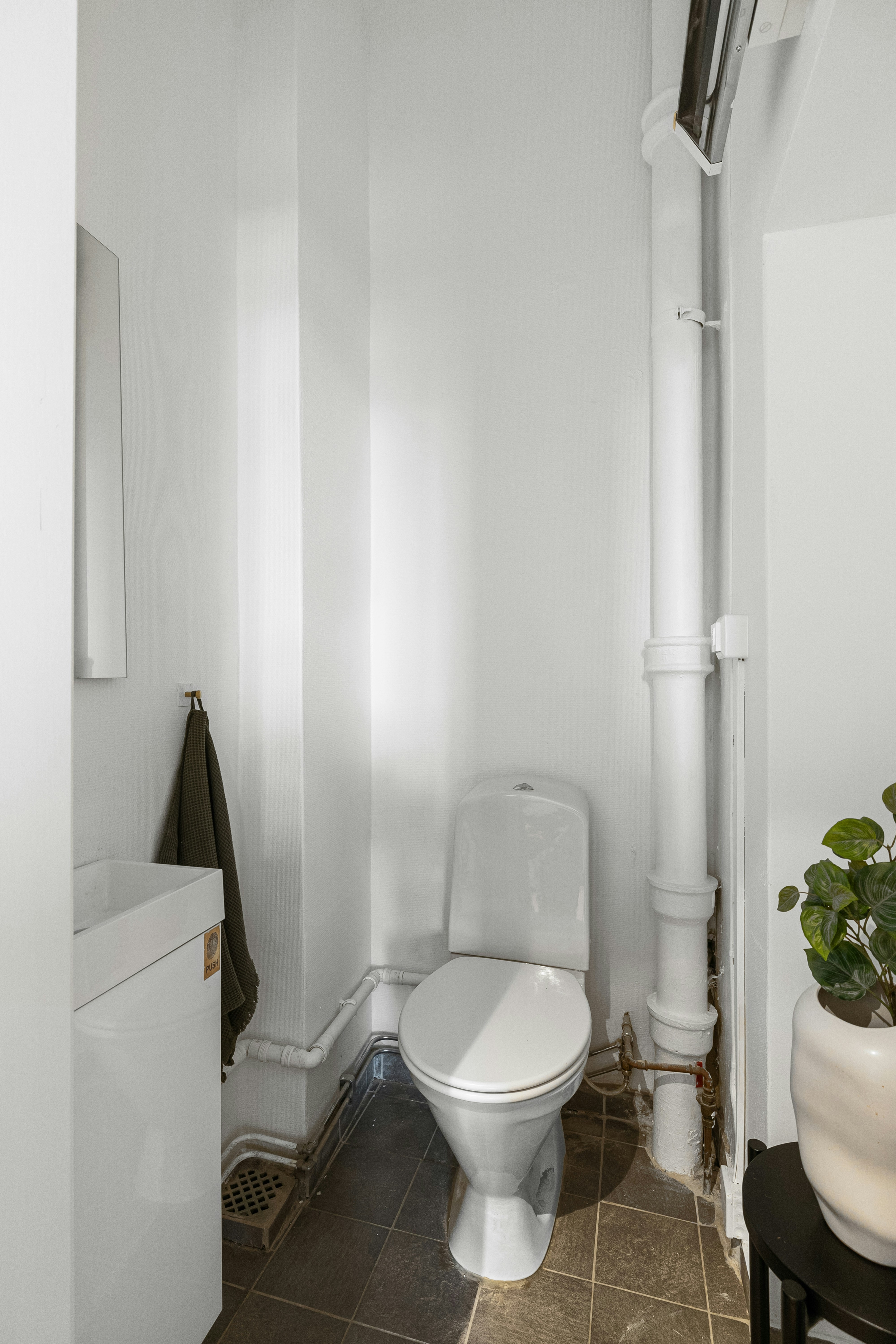 A white toilet sitting in a bathroom next to a sink photo – Free Plant ...