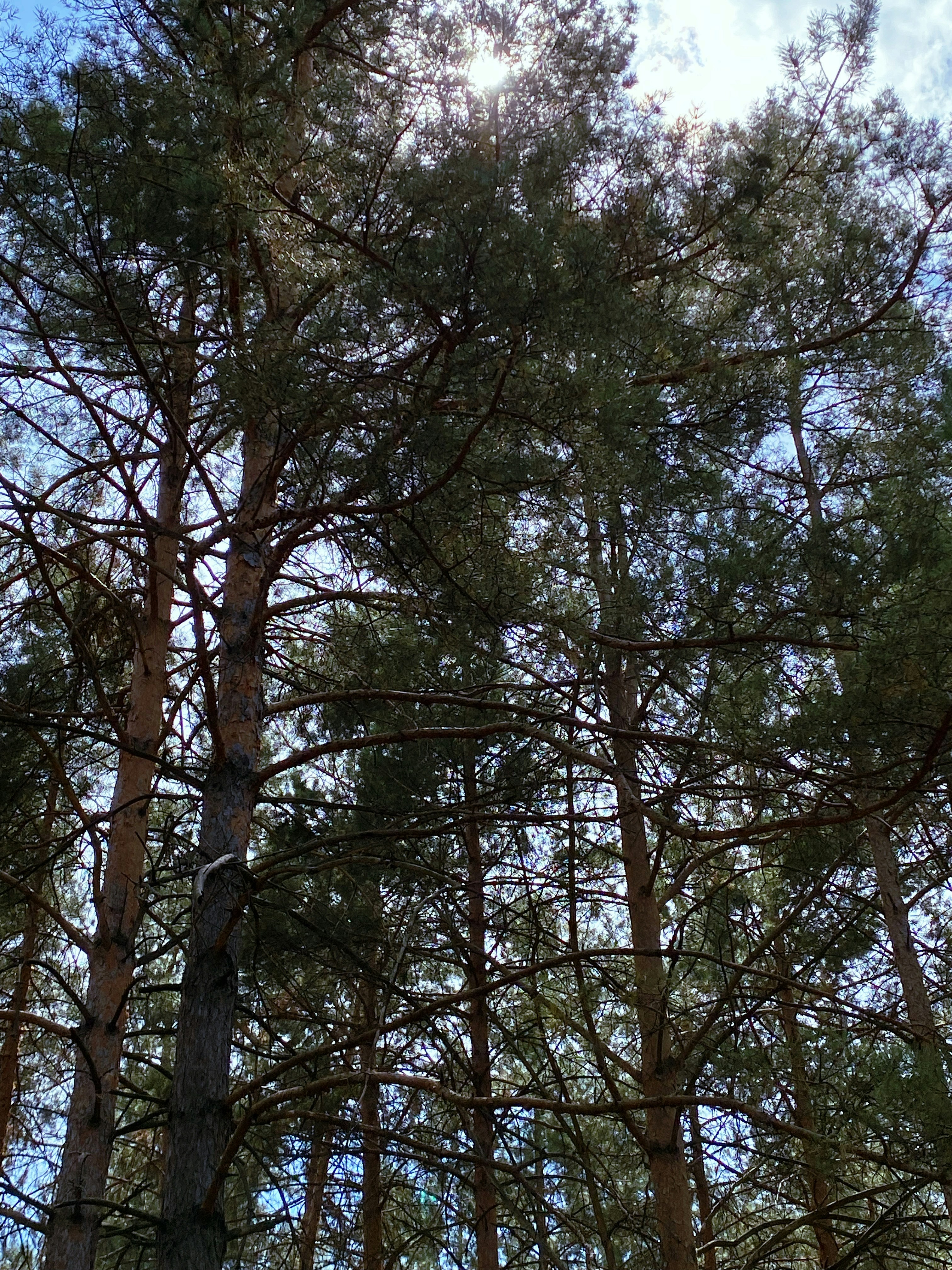 Photo by bvbblyography