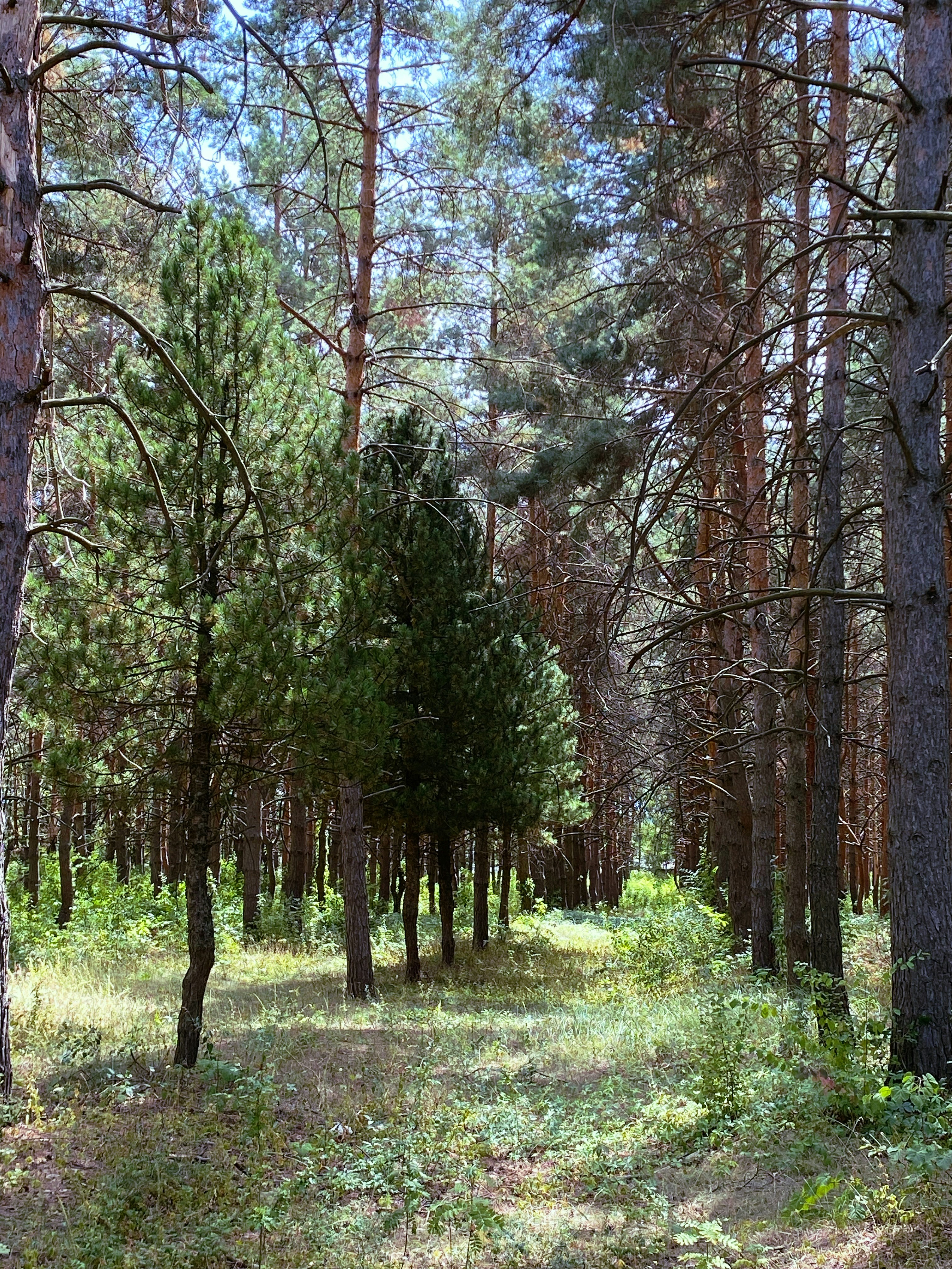 Photo by bvbblyography