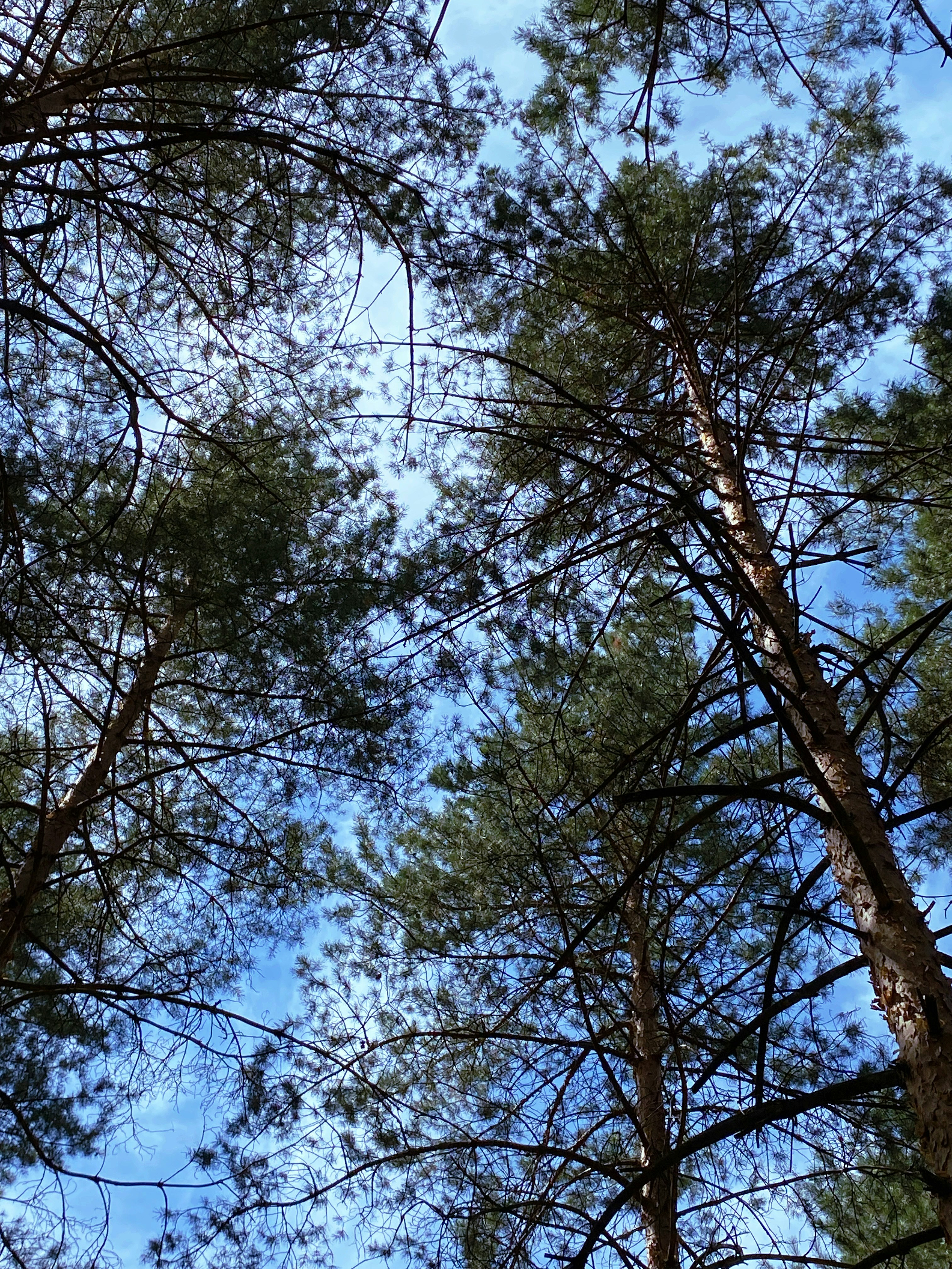 Photo by bvbblyography