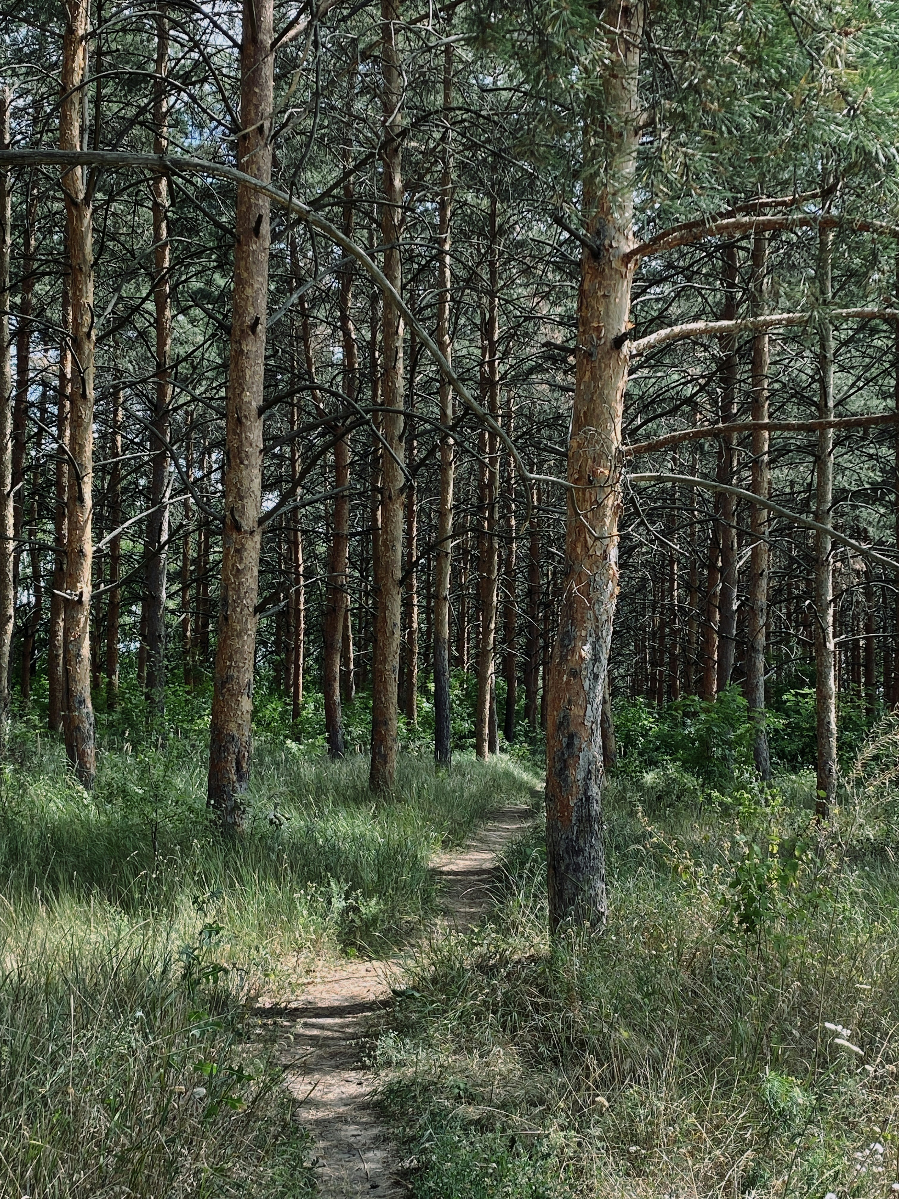 Photo by bvbblyography