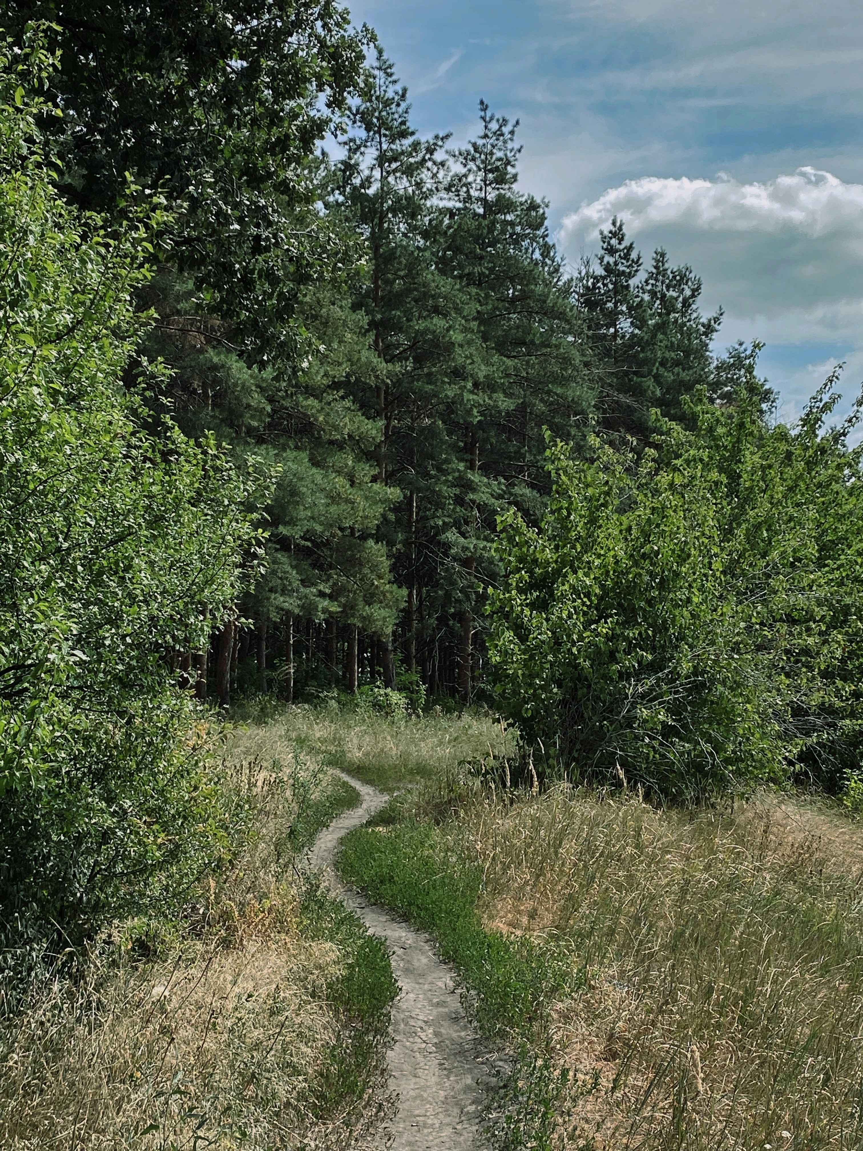 Photo by bvbblyography