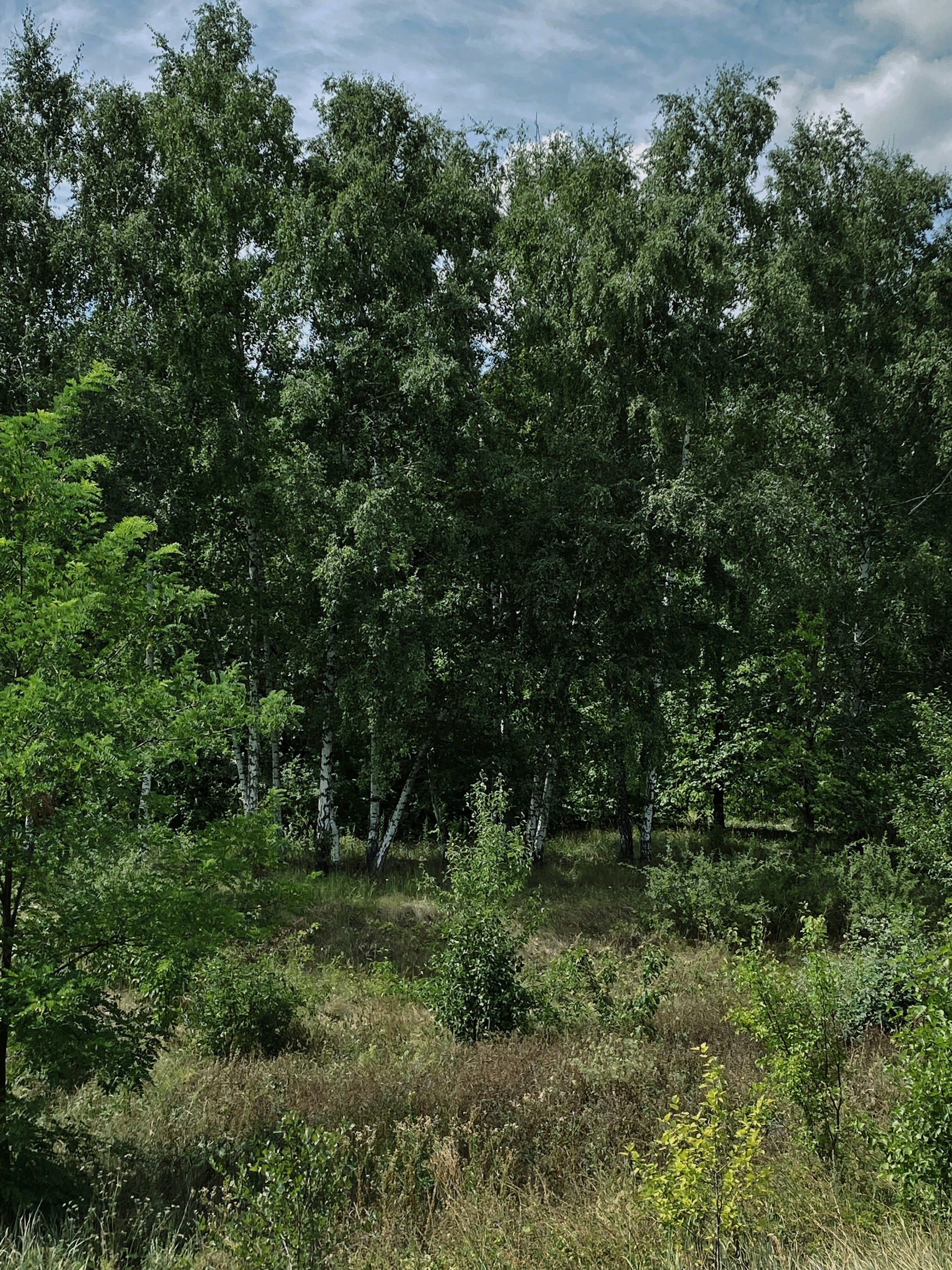 Photo by bvbblyography