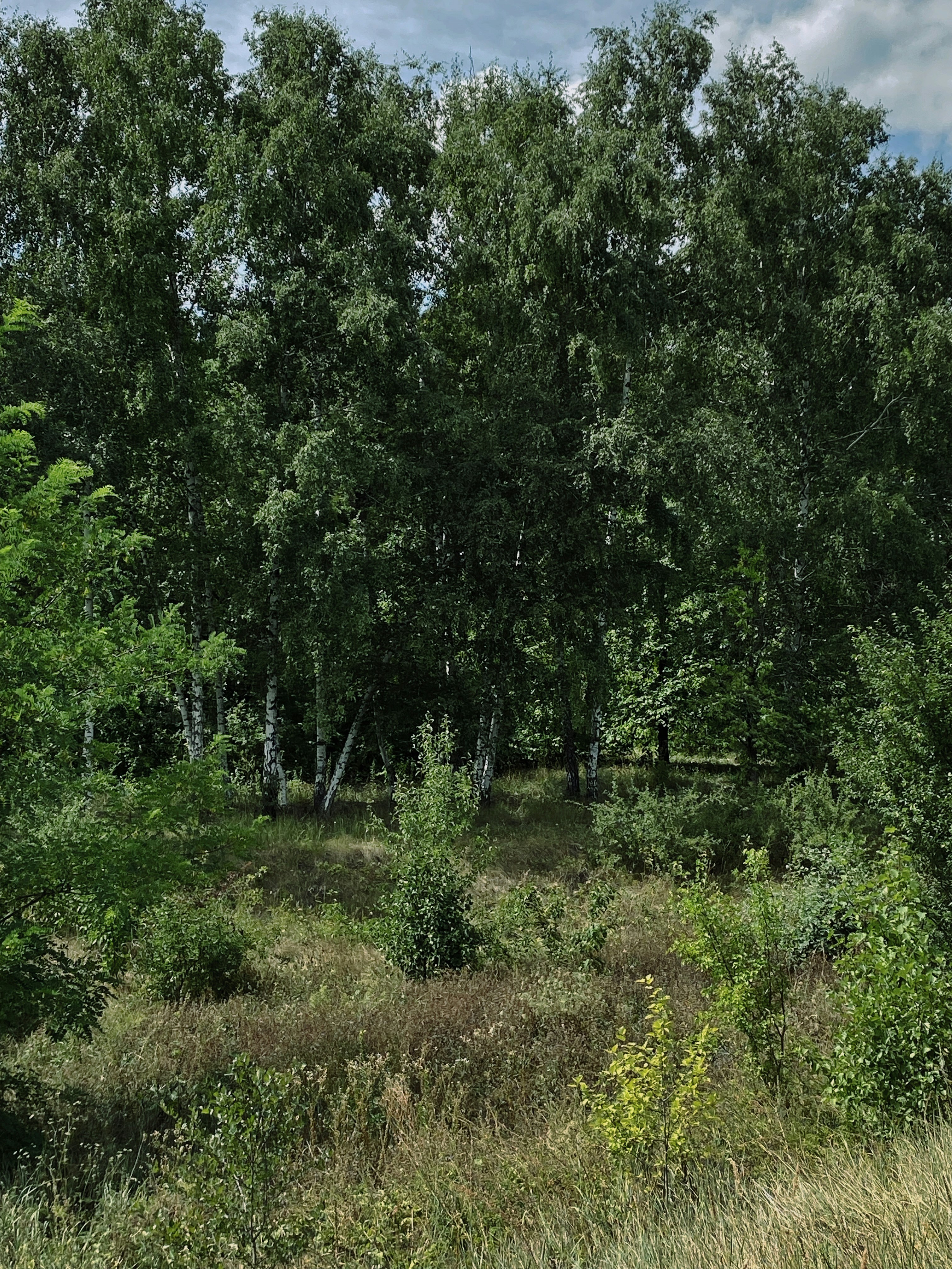 Photo by bvbblyography