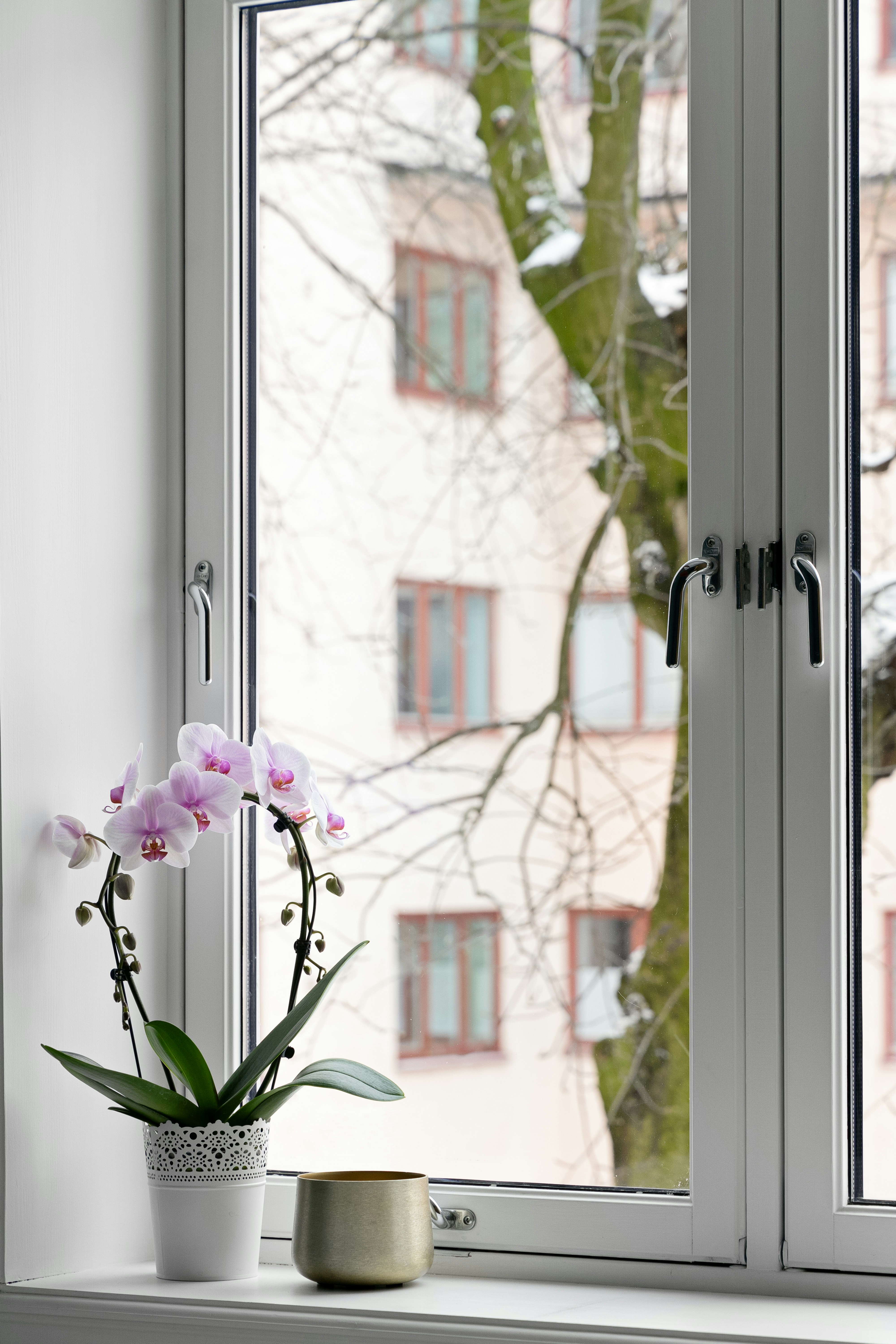 Photo by alextyson195