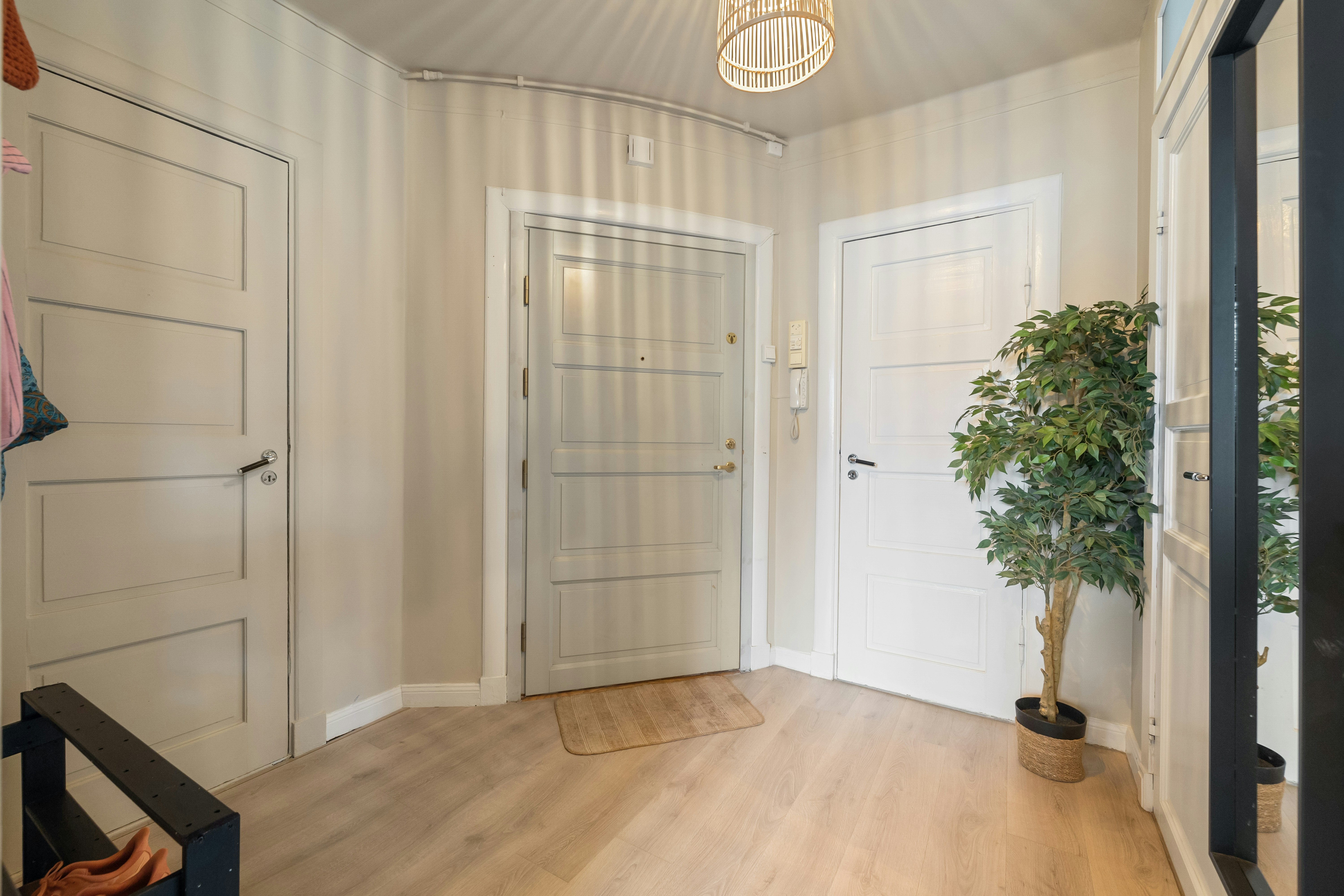 Photo by alextyson195