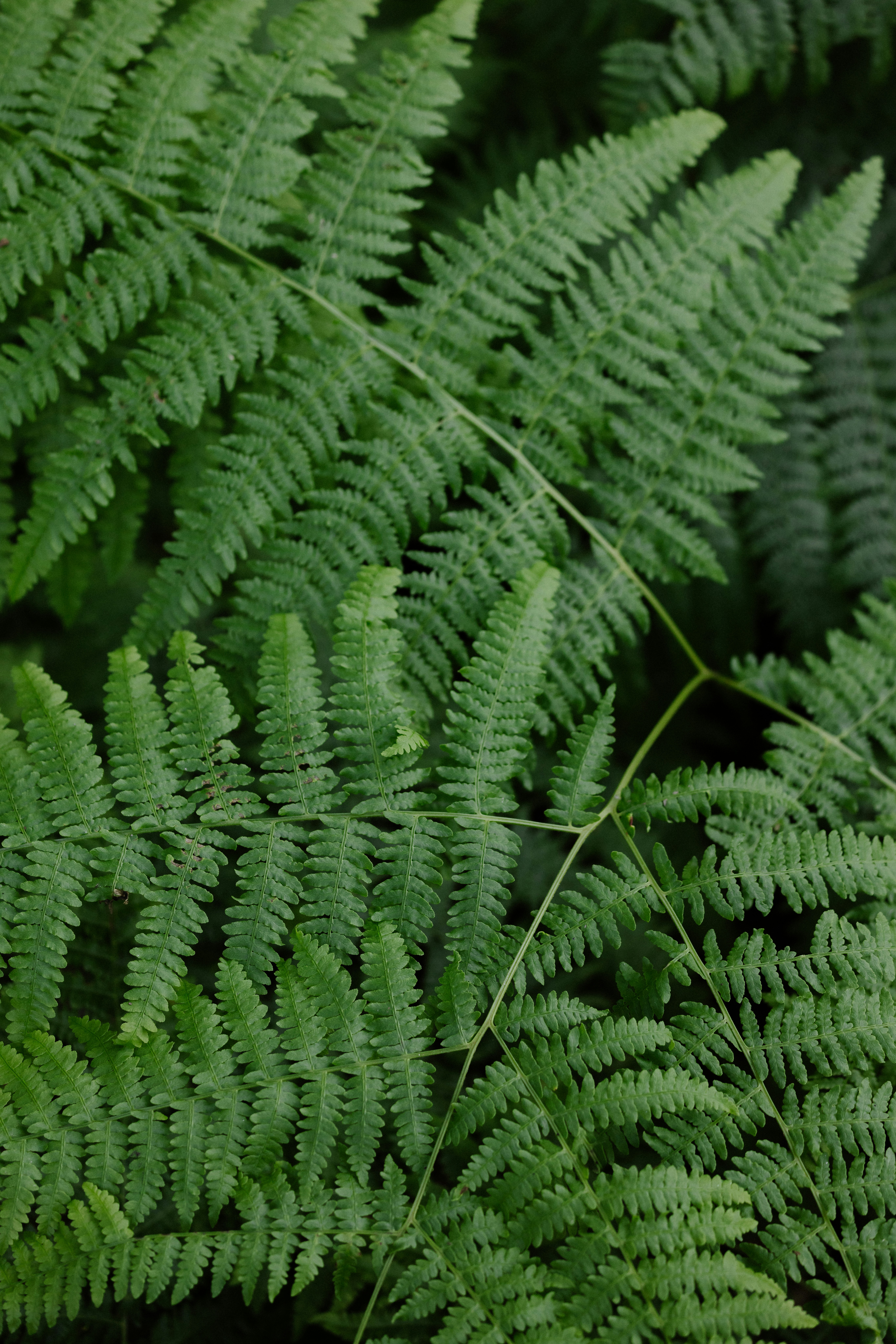 Photo by anniespratt