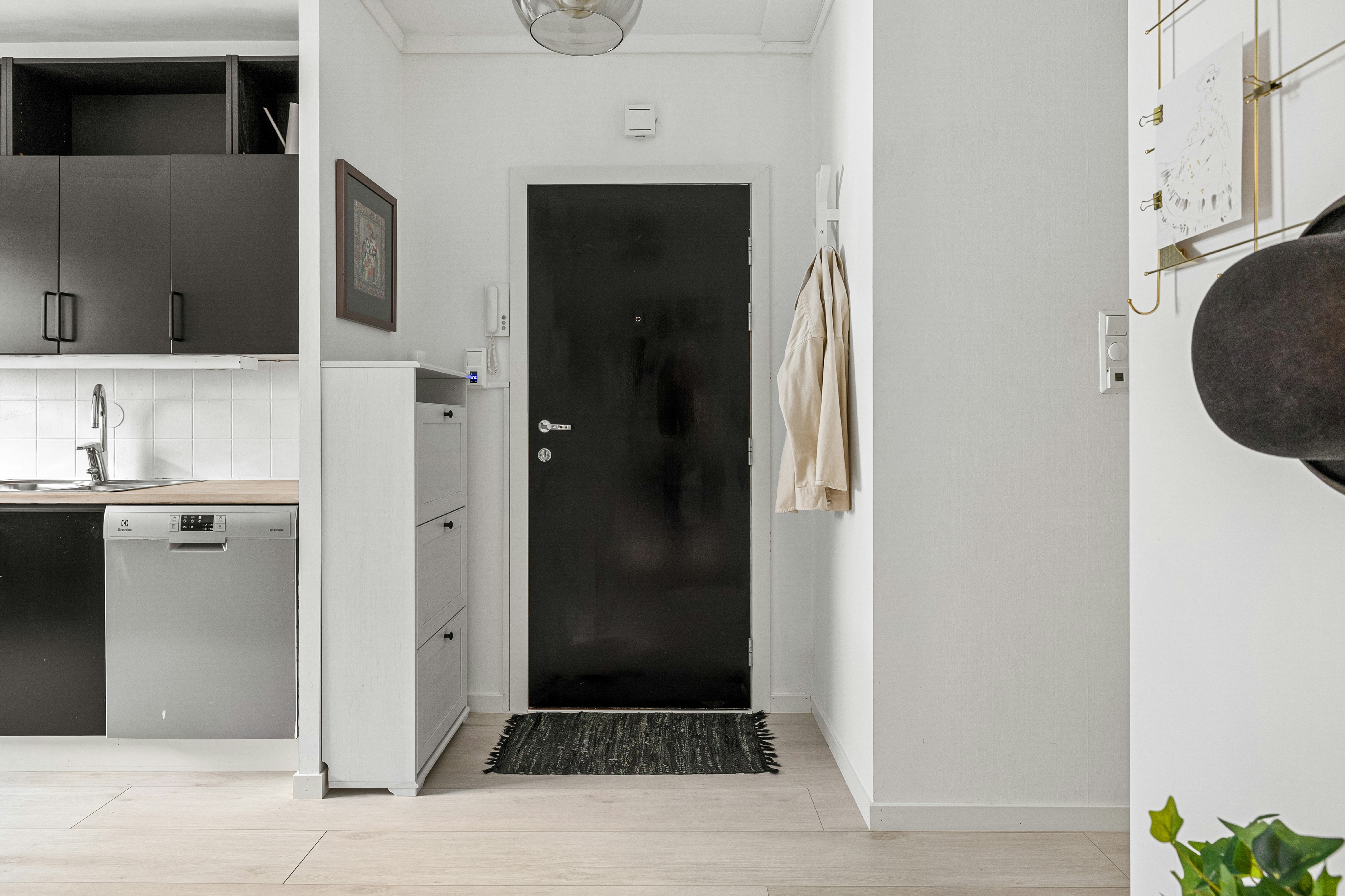 Photo by alextyson195