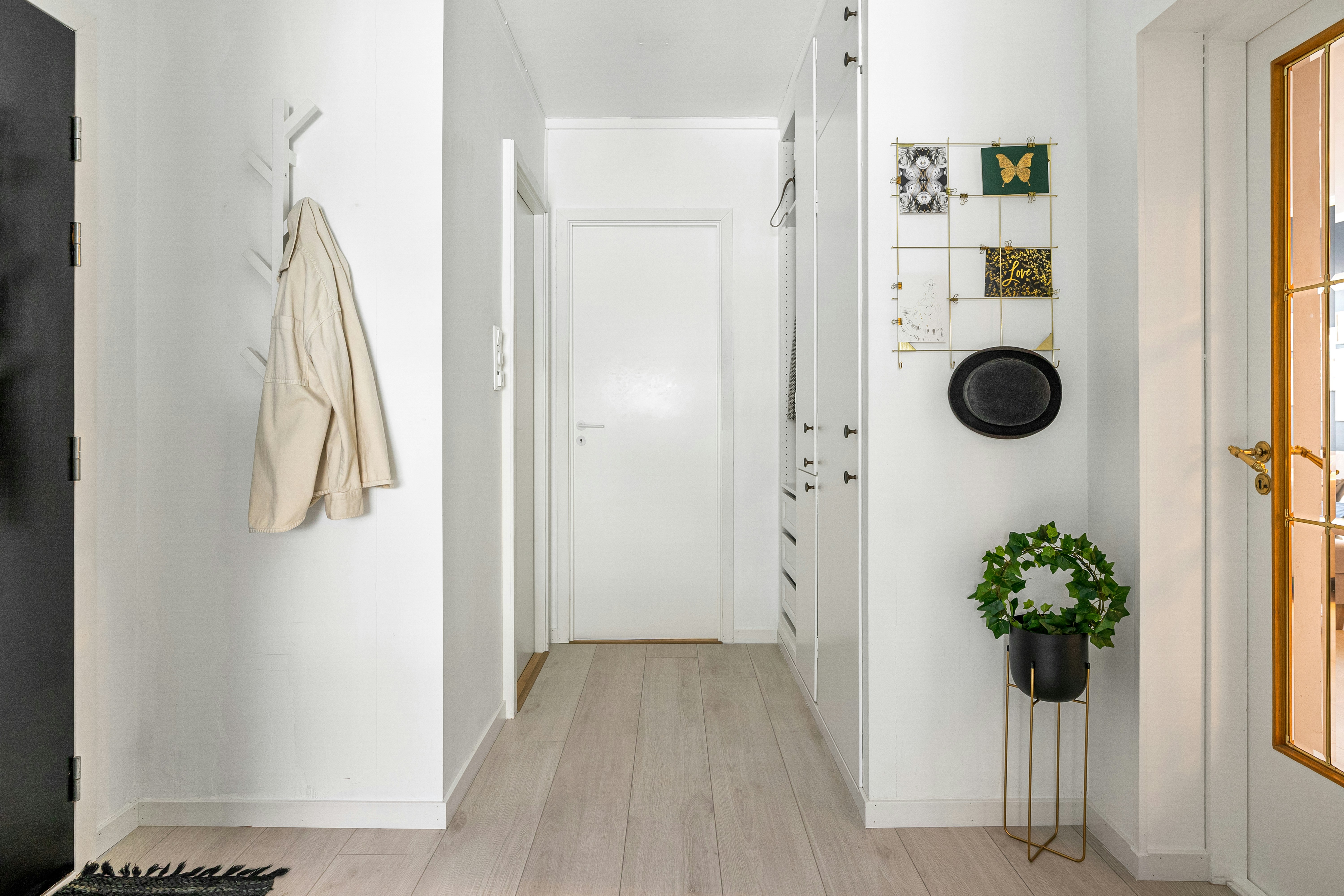 Photo by alextyson195