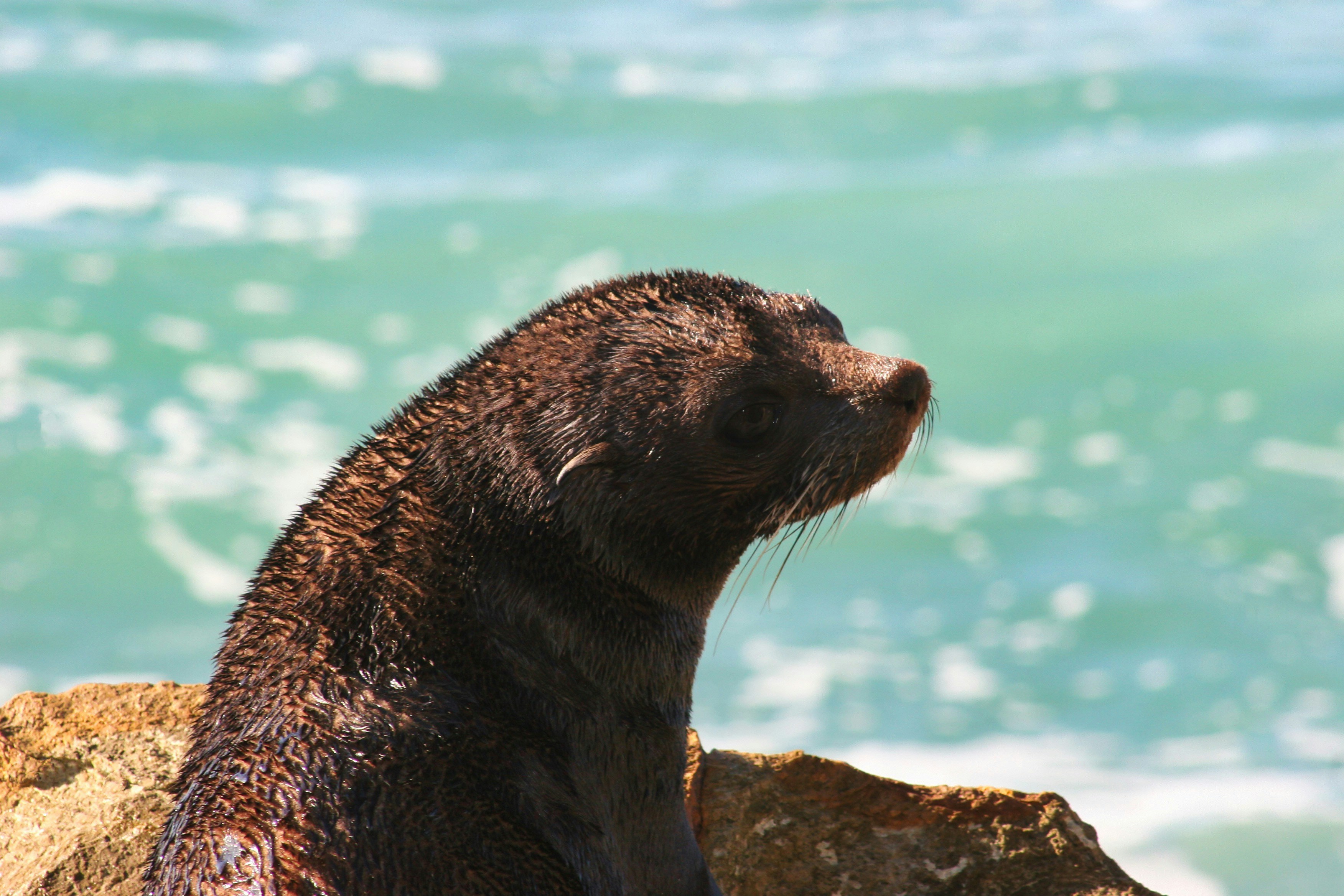 Photo by stevenvandeursen