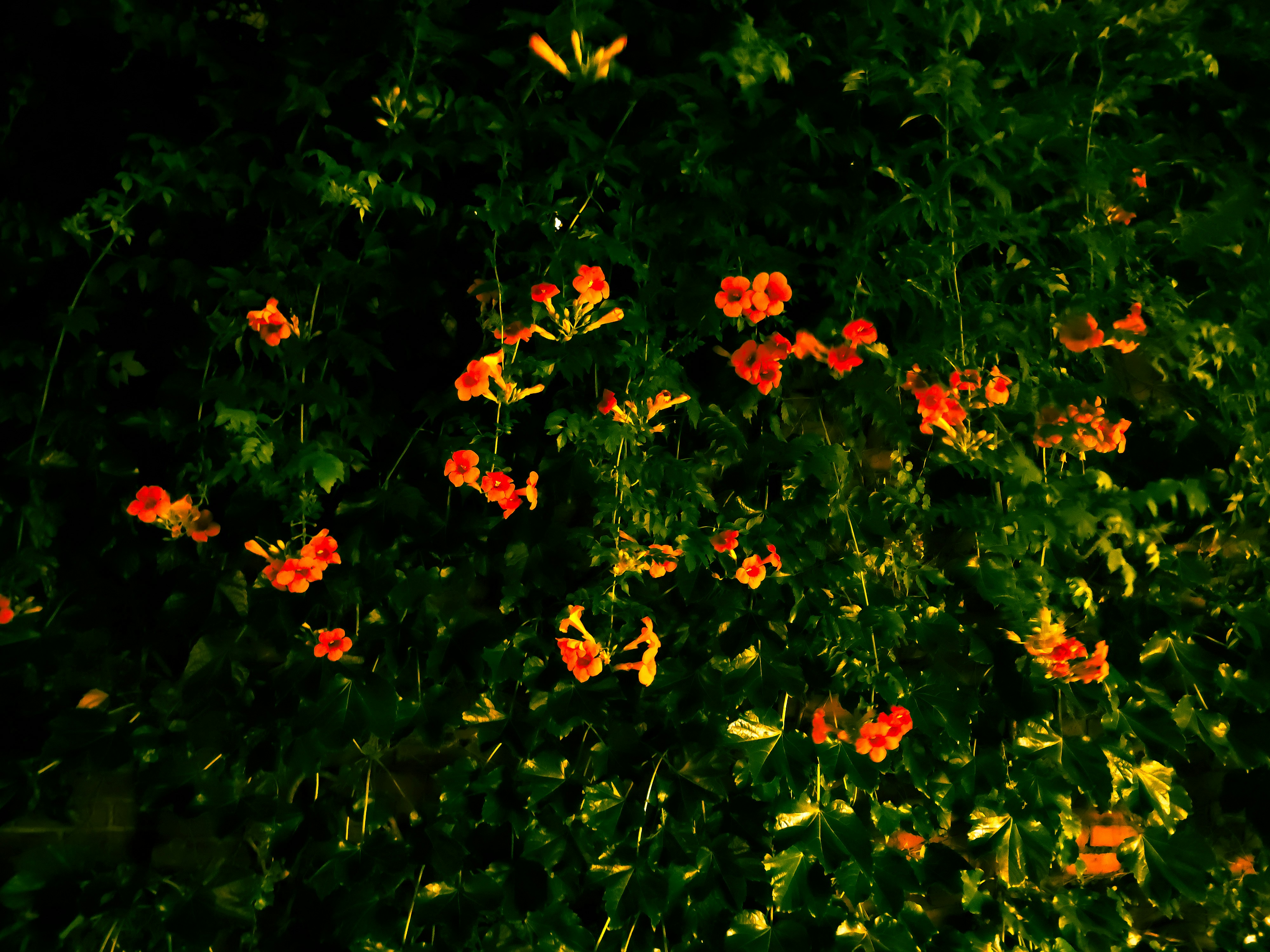 Photo by memenito_96