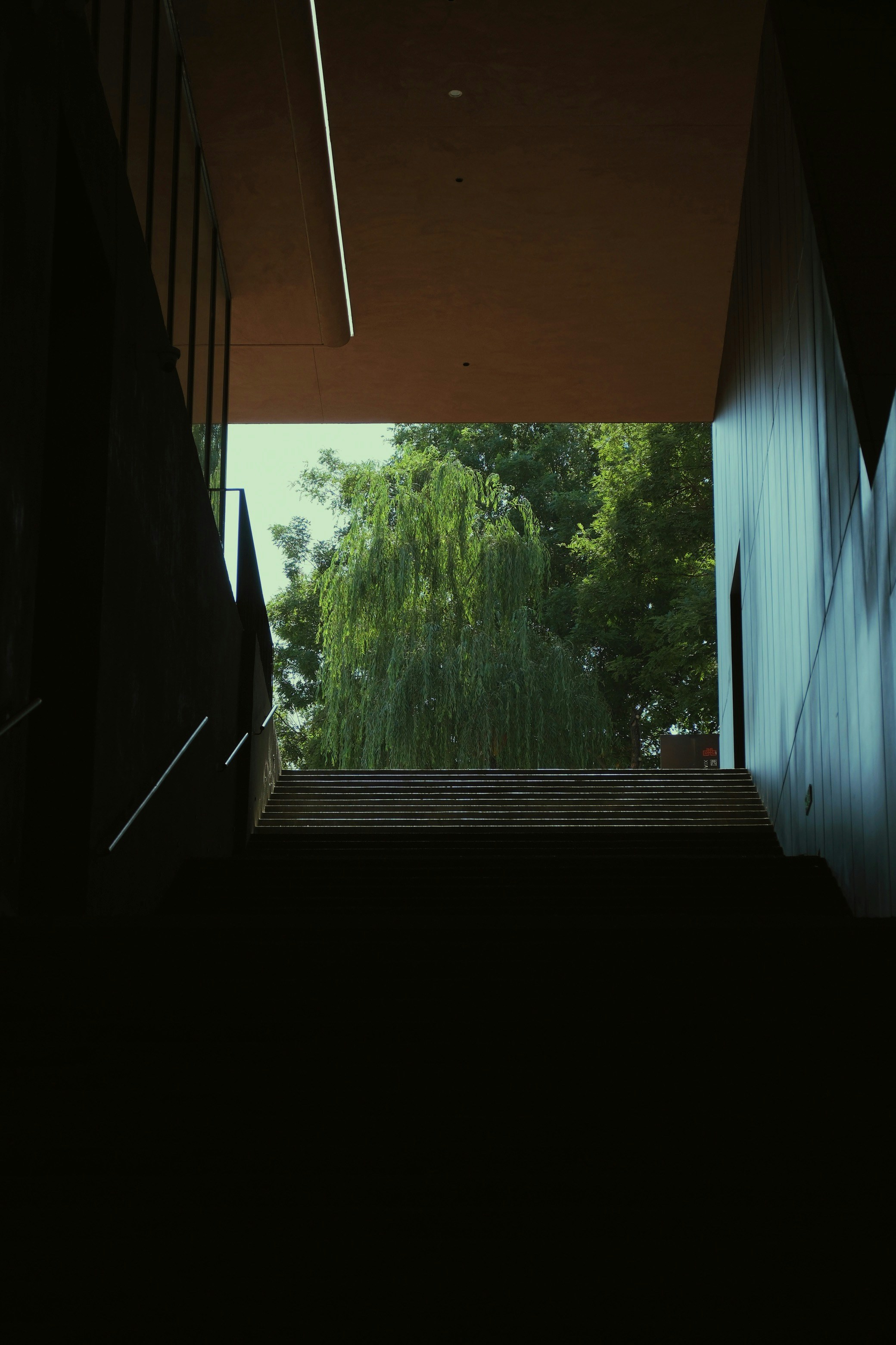 Photo by photohunter