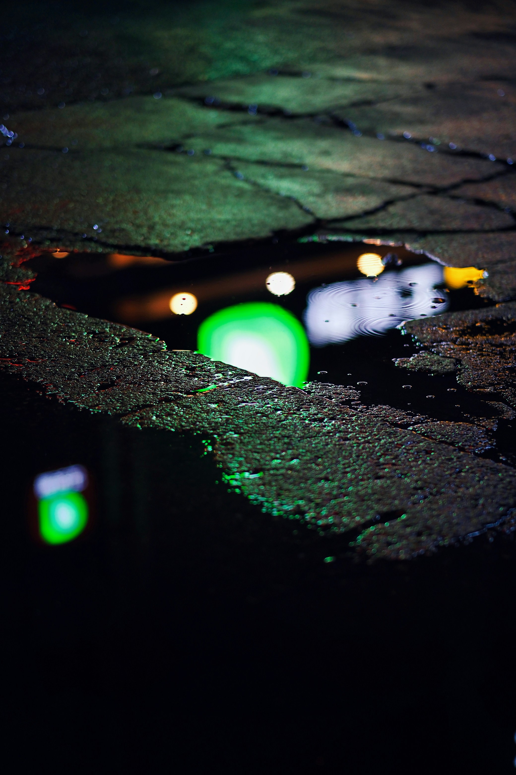 Photo by photohunter