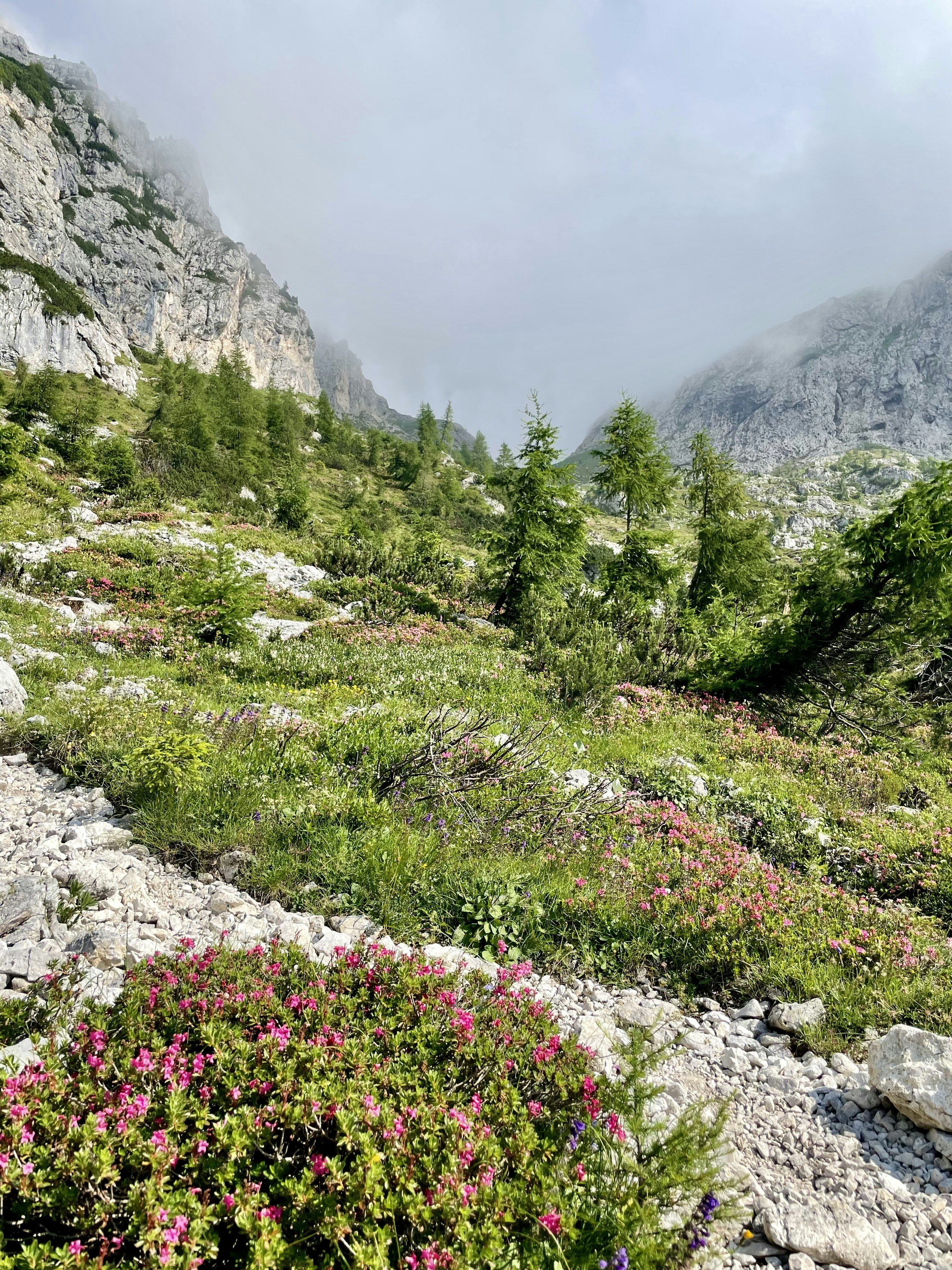 Climate Refugees from Ancient Worlds (image credits: unsplash)