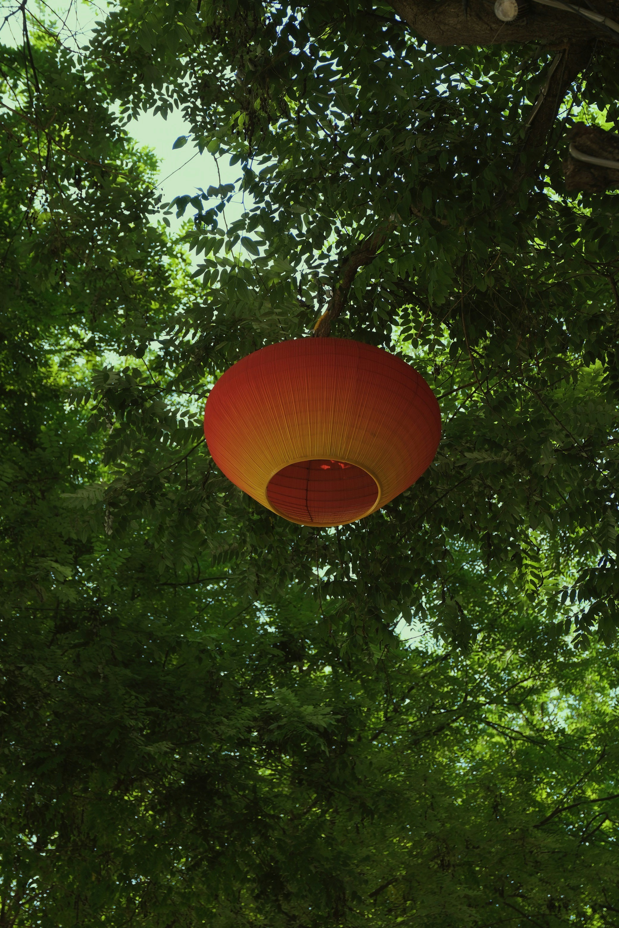 Photo by photohunter