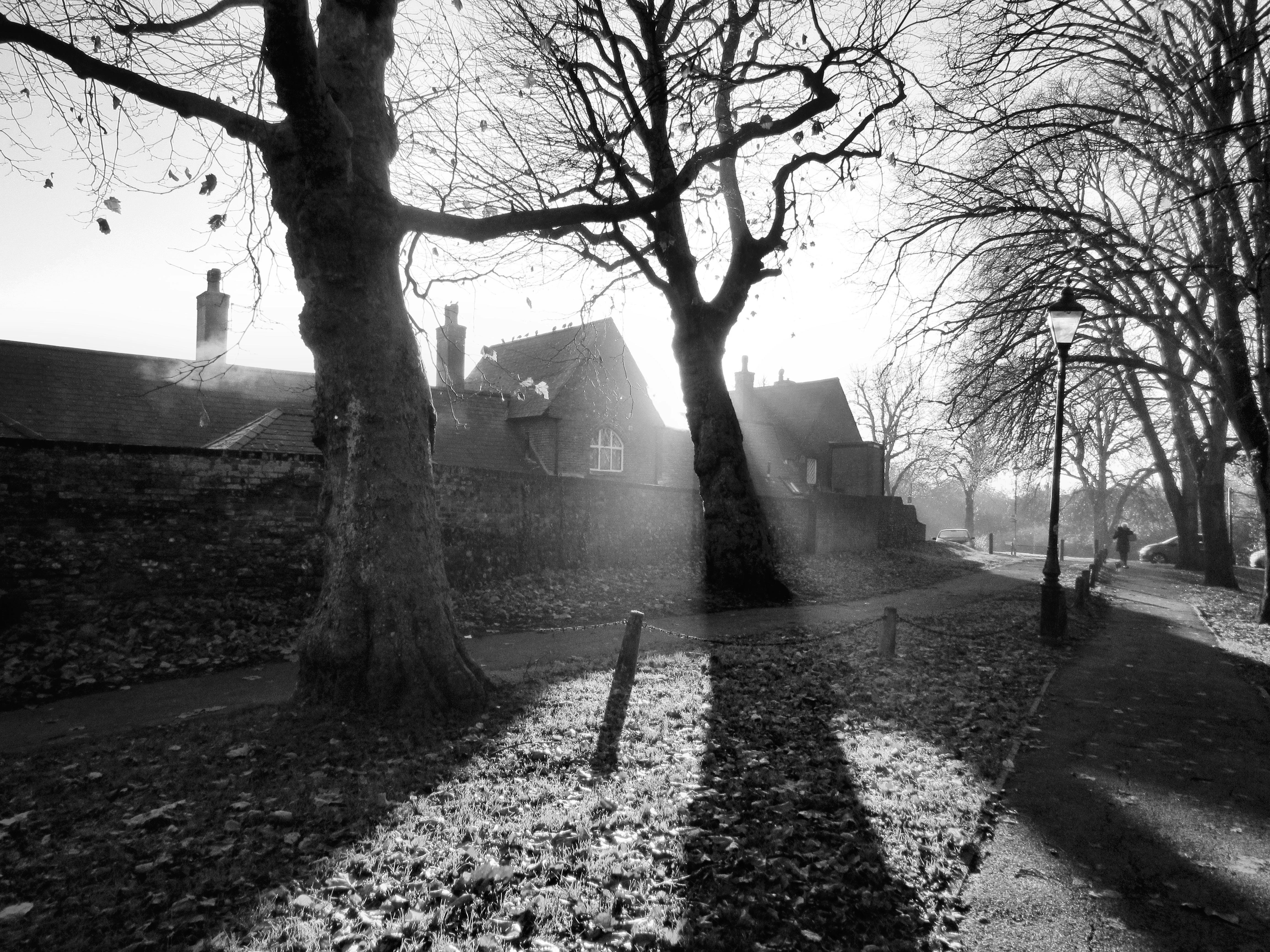 Photo by katerussell76