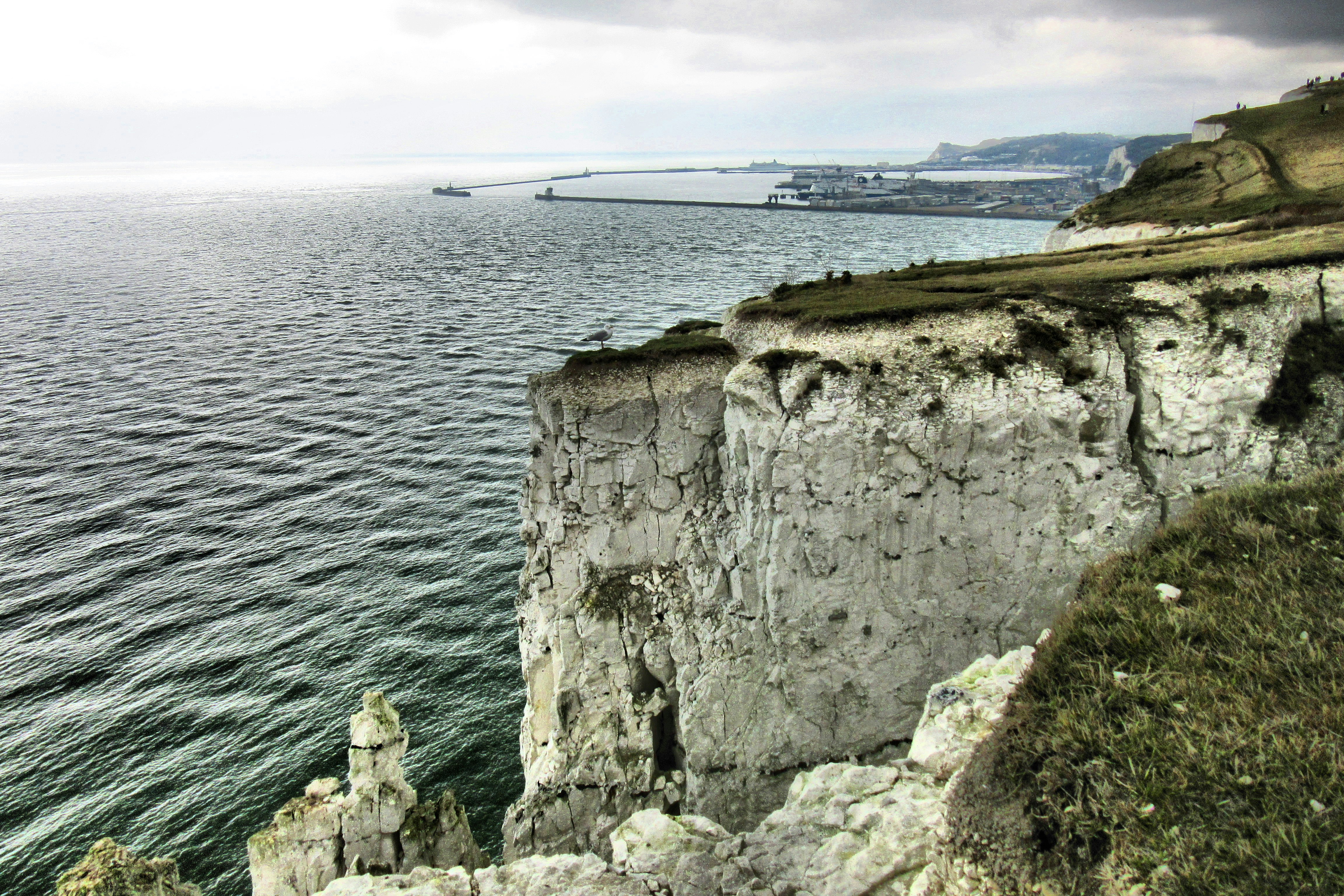 A view of a large body of water from a cliff