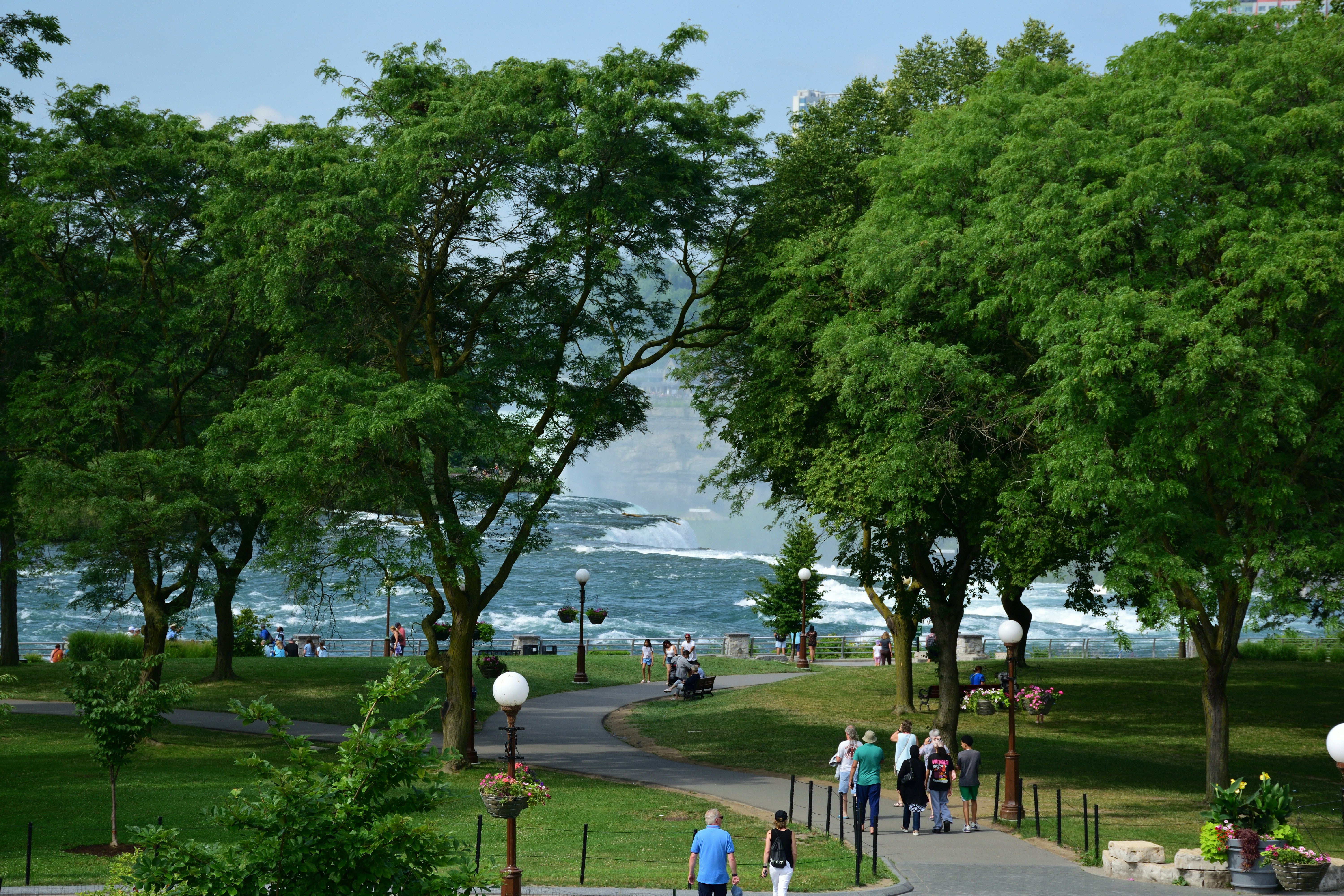 A group of people walking down a sidewalk next to trees