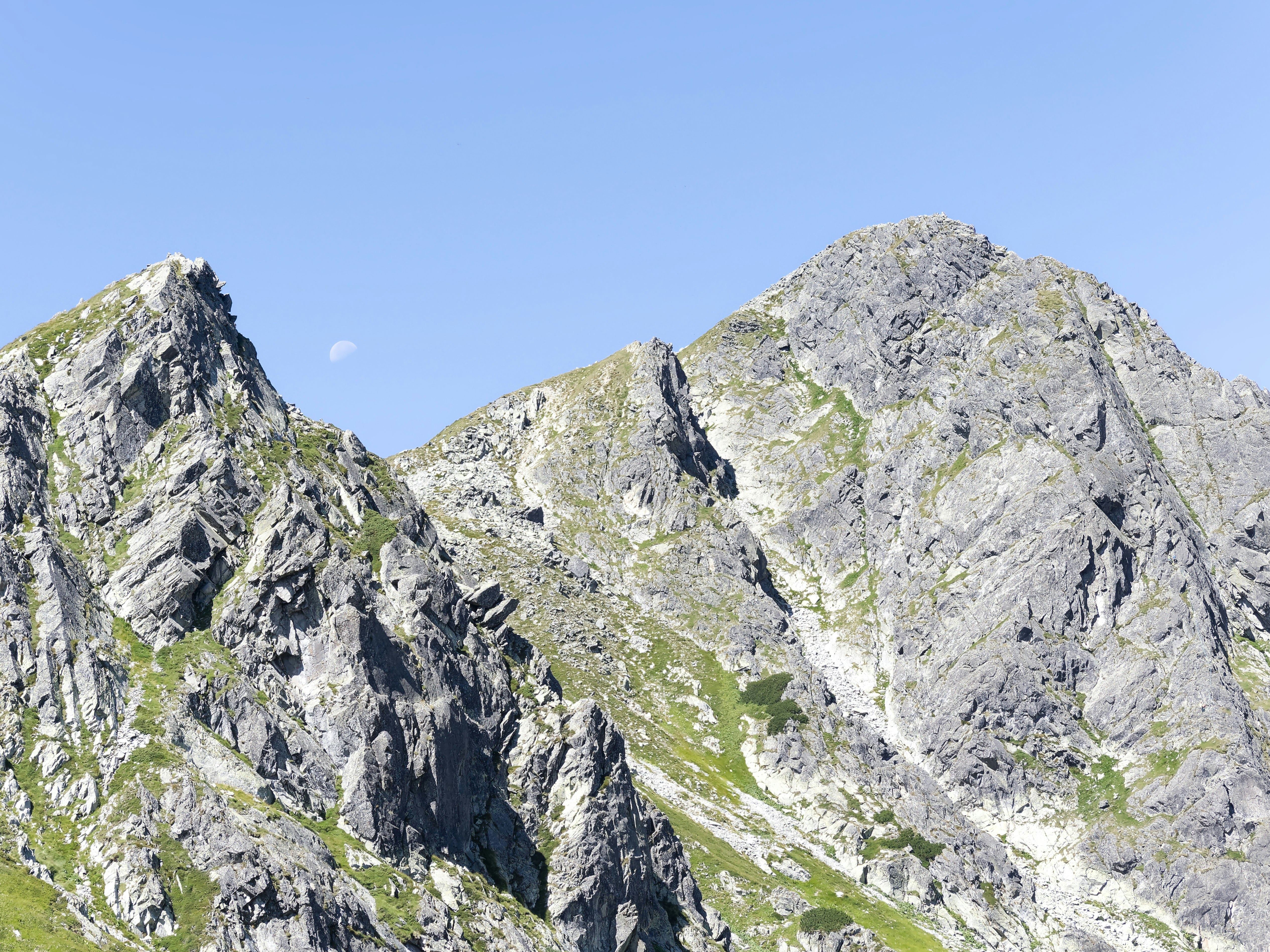 Photo by illes_cristi