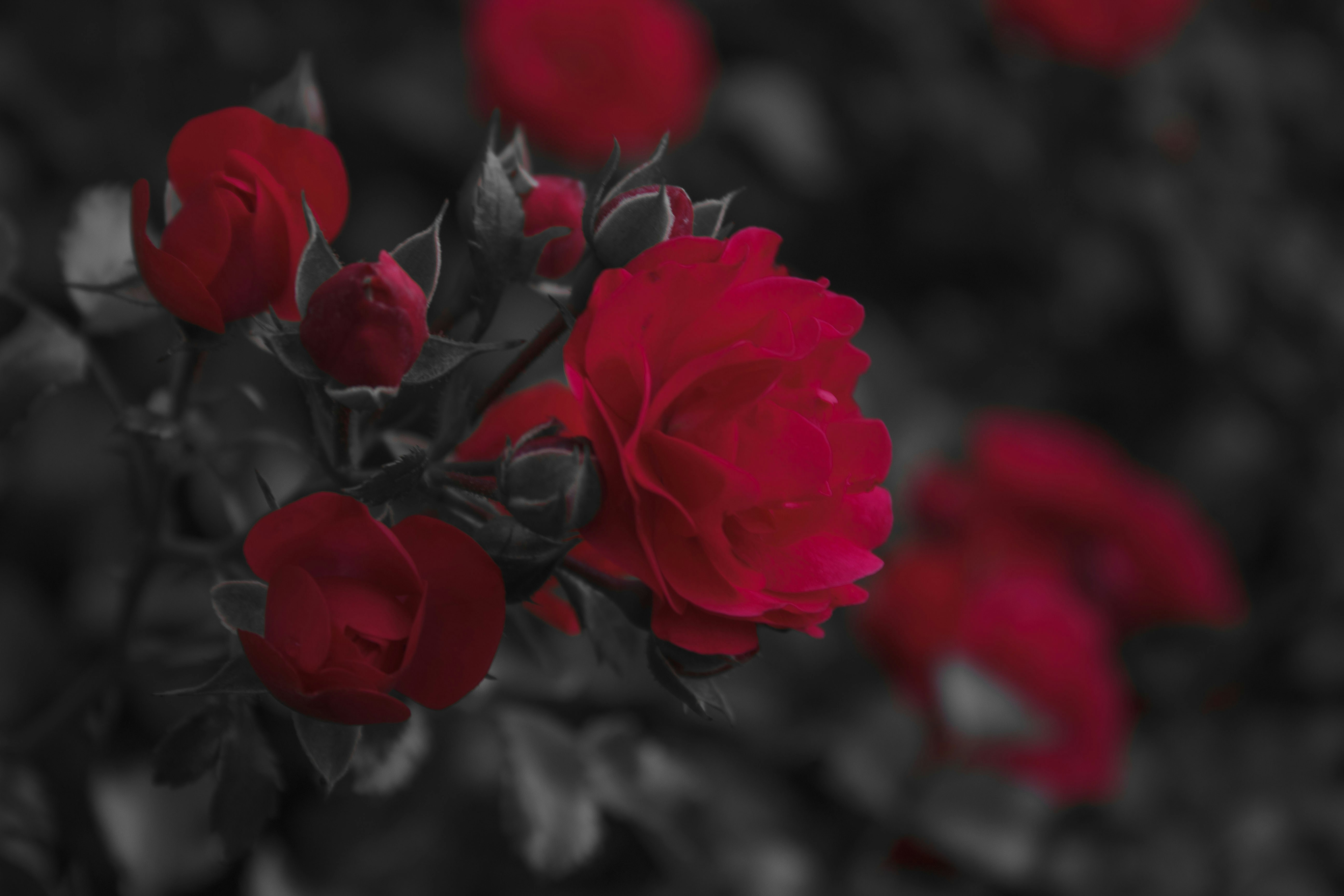 Photo by silaslundquist