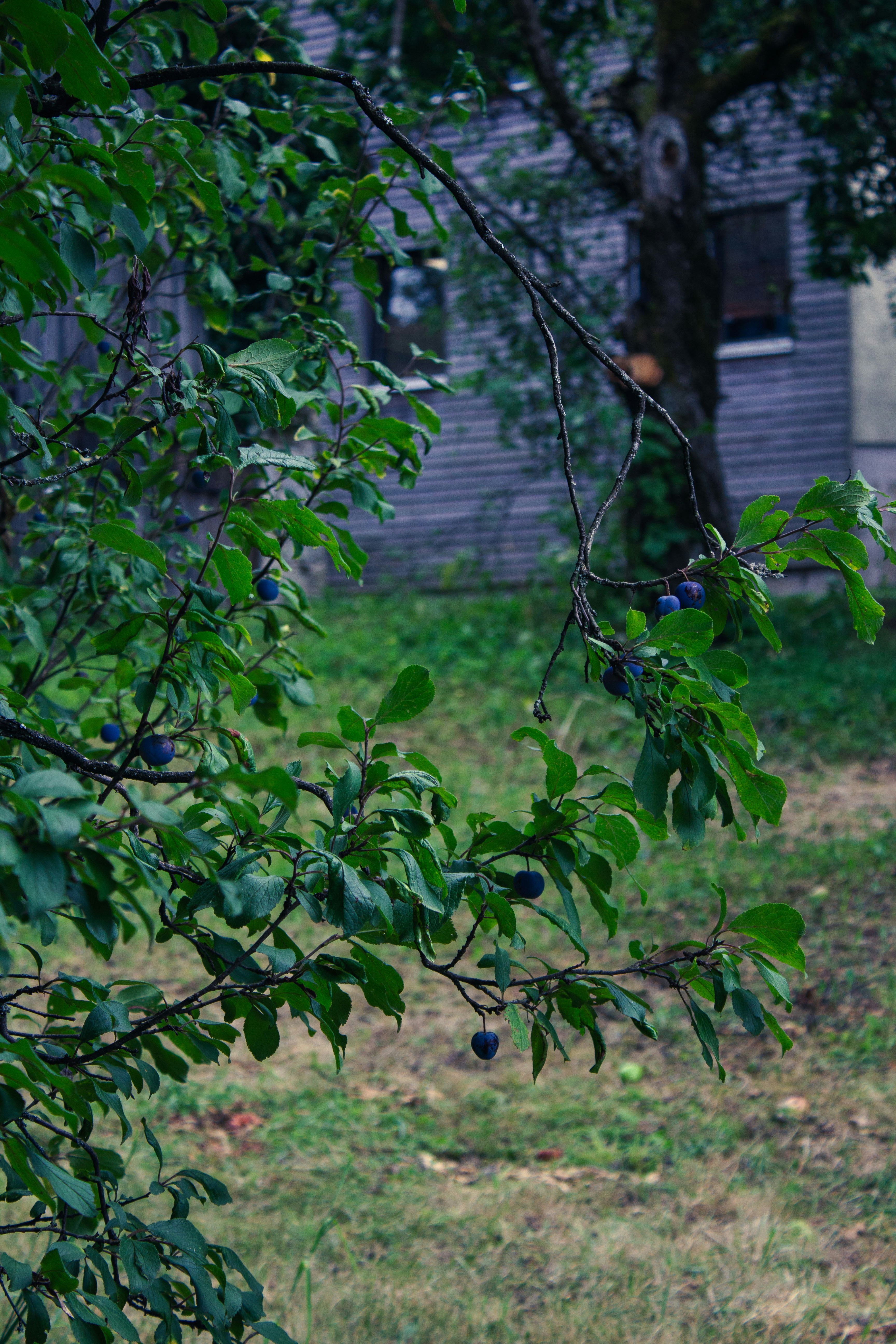 Photo by silaslundquist