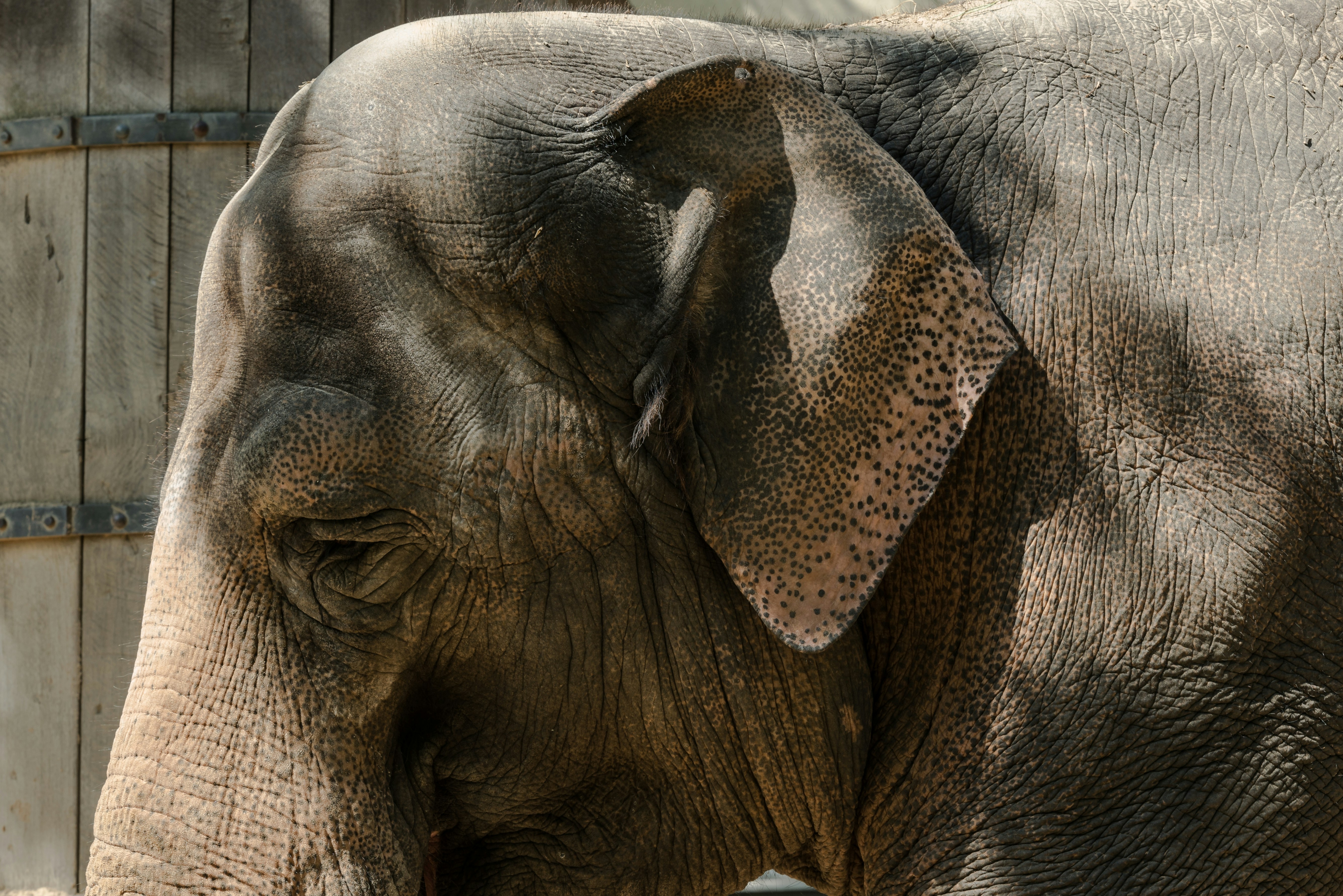 Photo by hamburgmeinefreundin