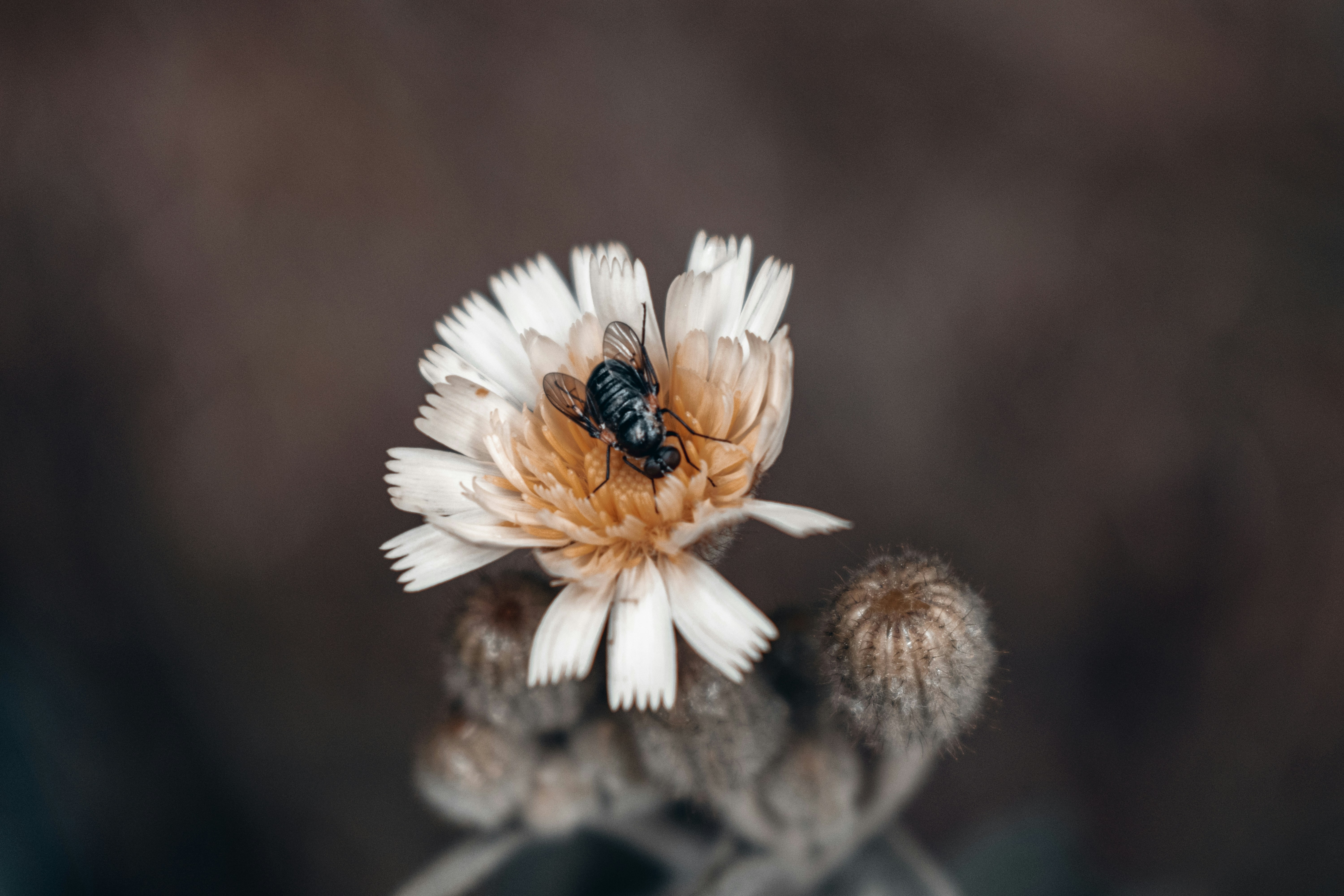 Photo by vadym_alyekseyenko