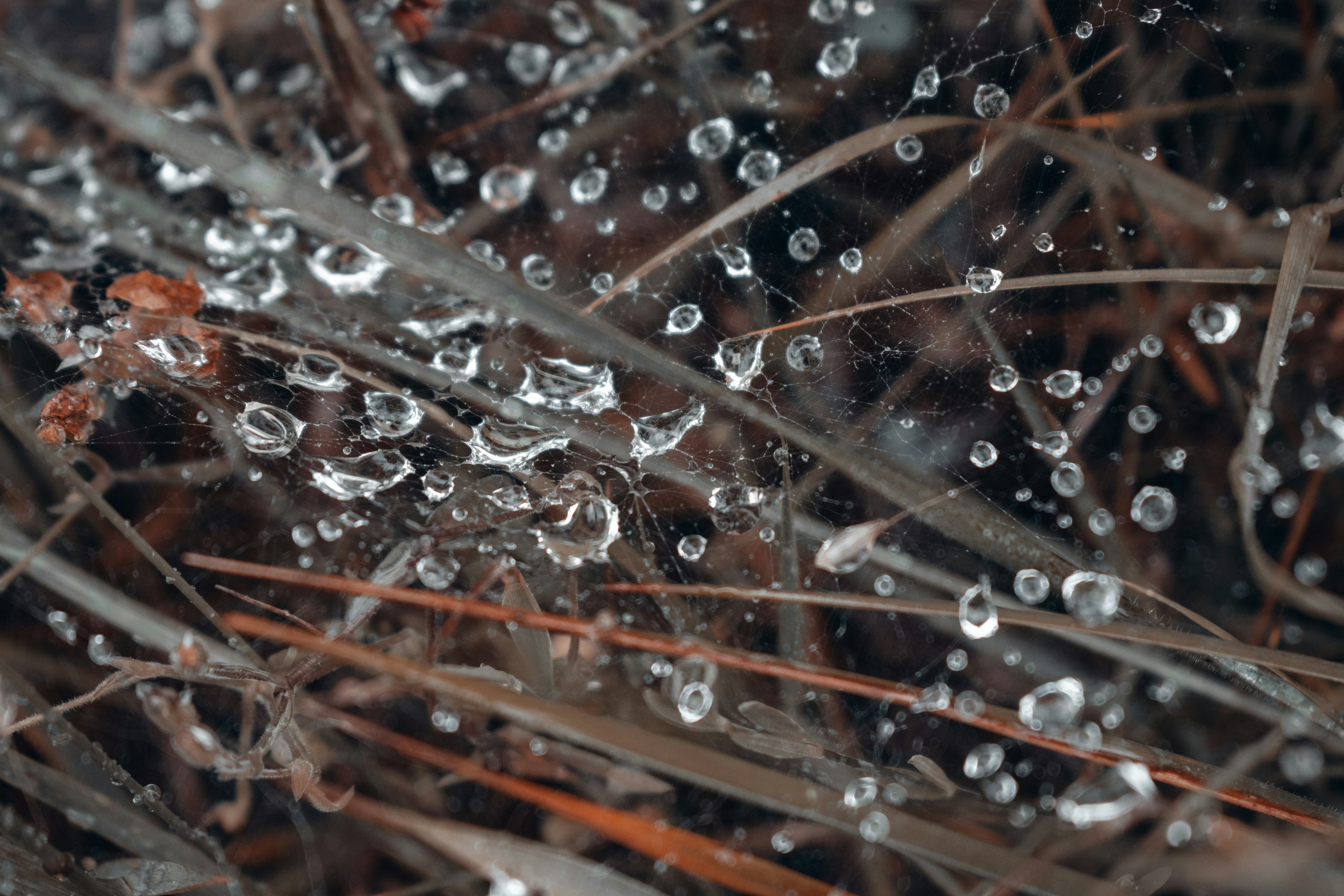 Photo by vadym_alyekseyenko