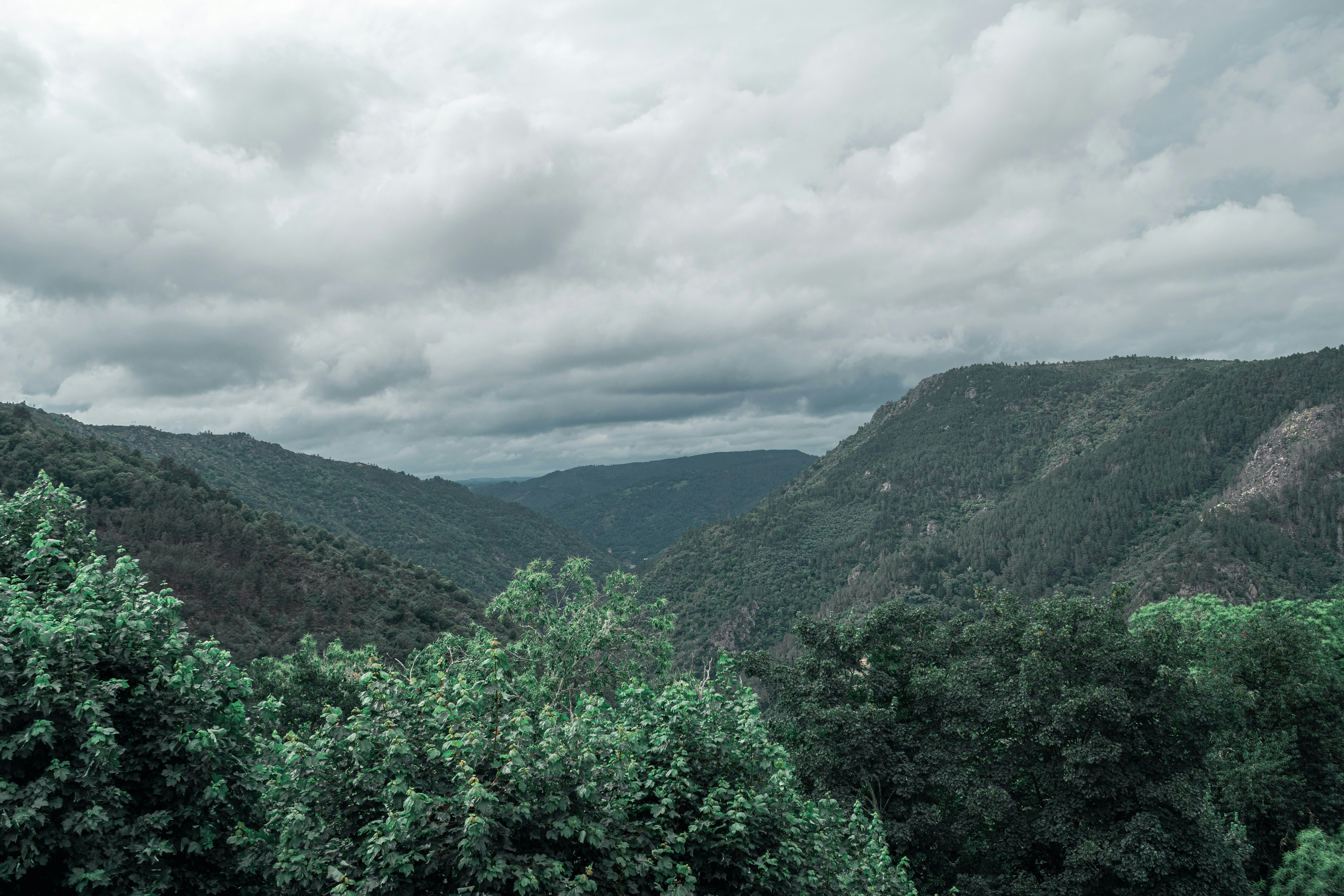 Photo by vadym_alyekseyenko