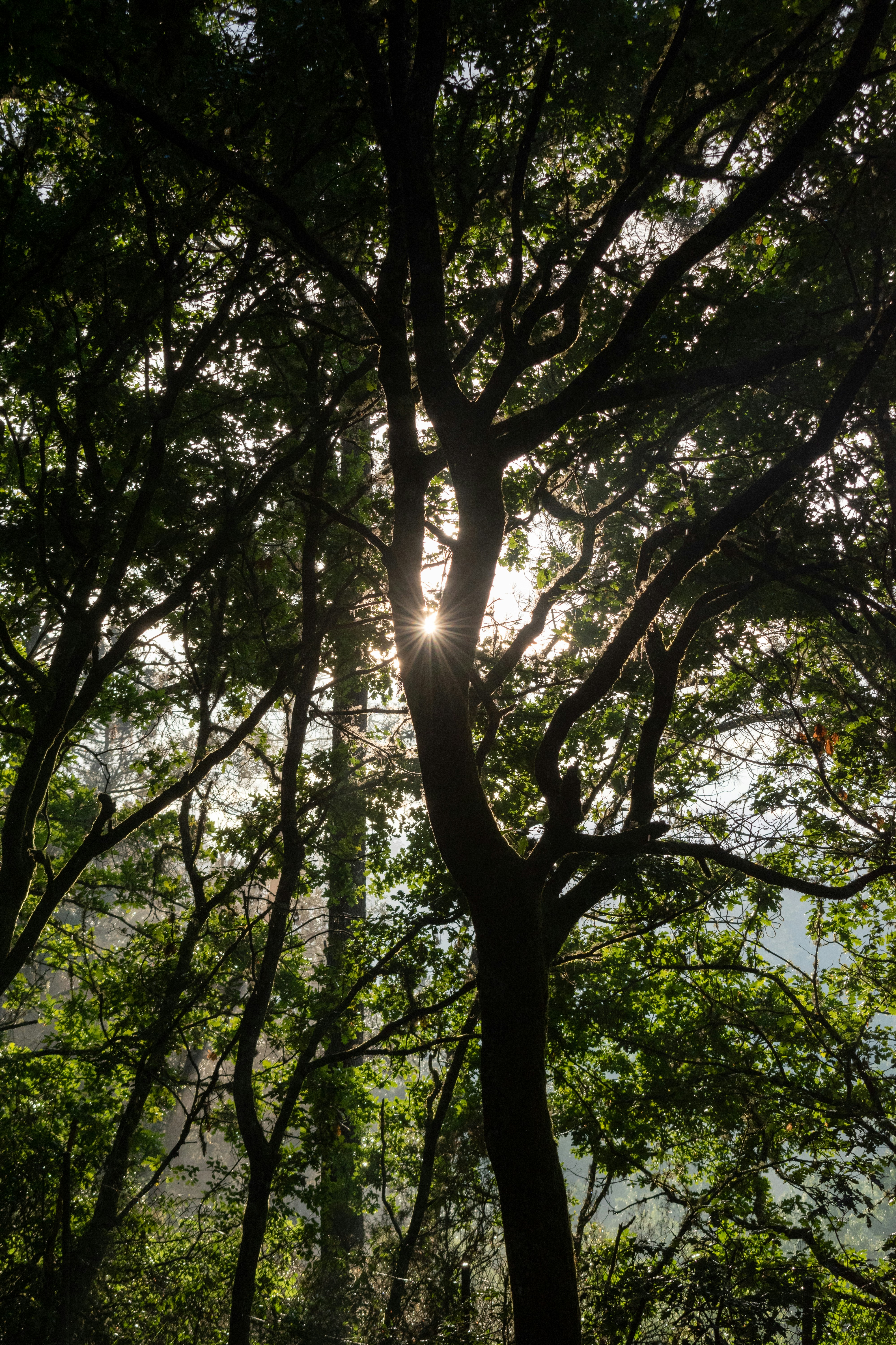 Photo by vadym_alyekseyenko