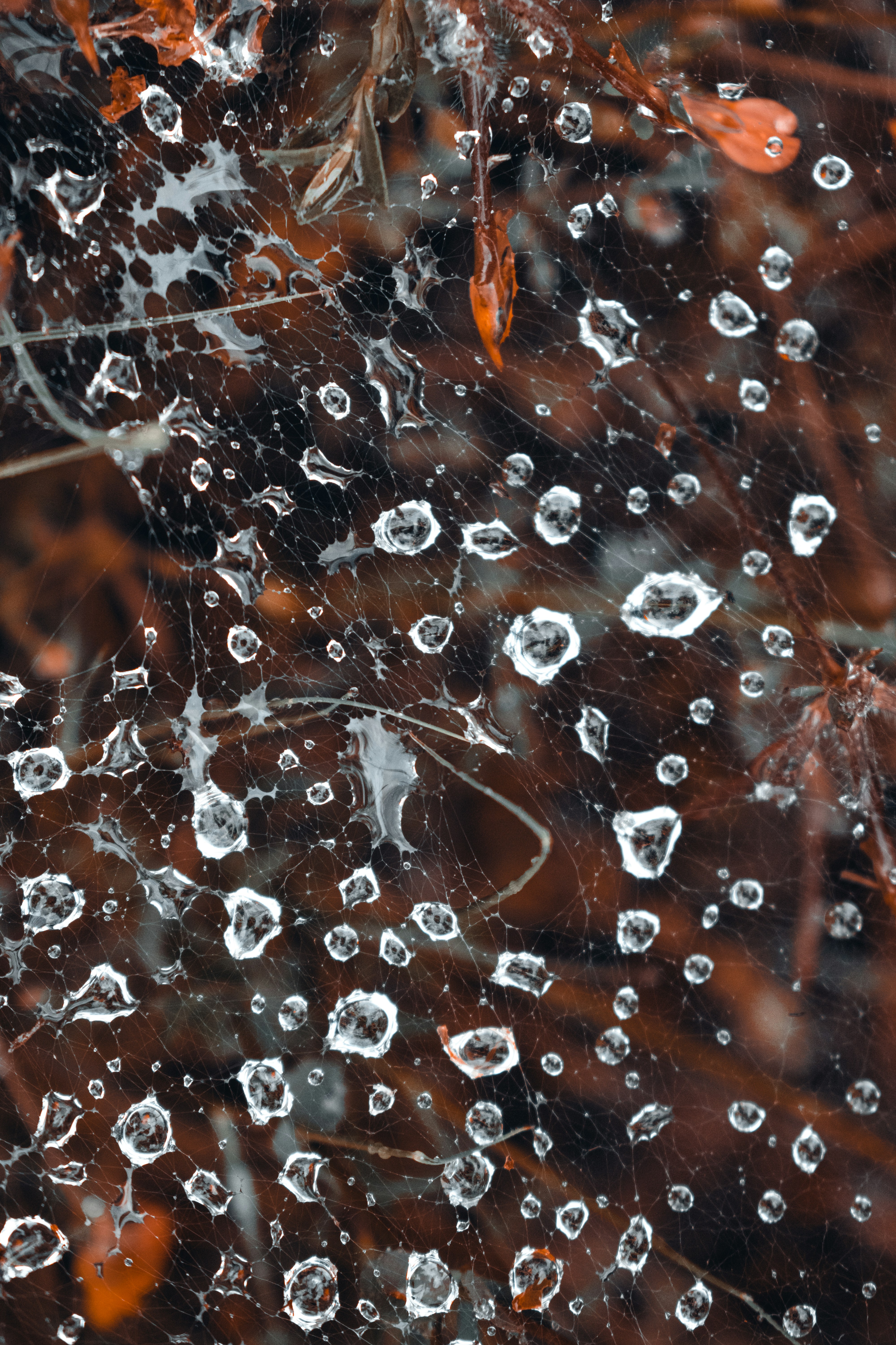 Photo by vadym_alyekseyenko