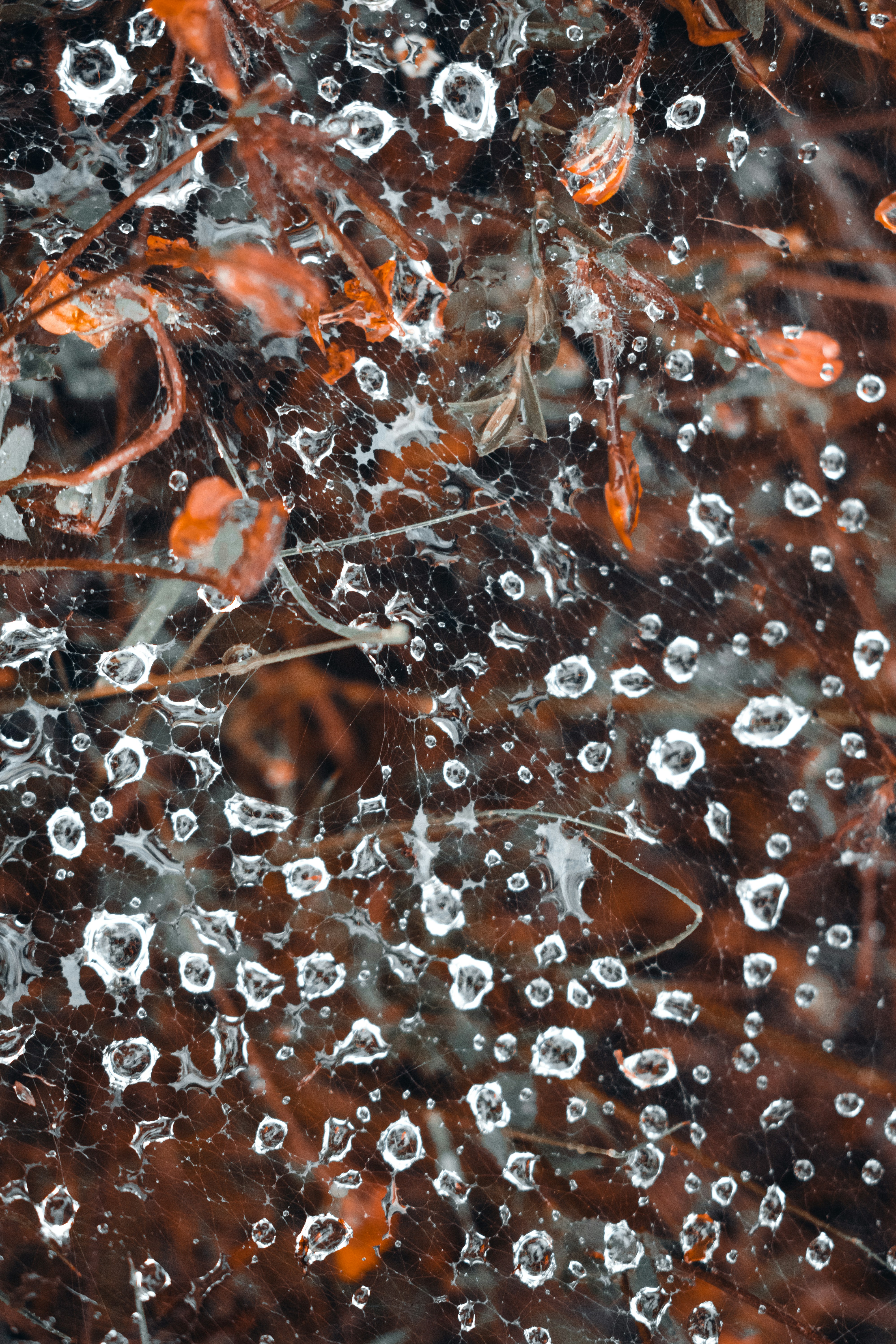 Photo by vadym_alyekseyenko