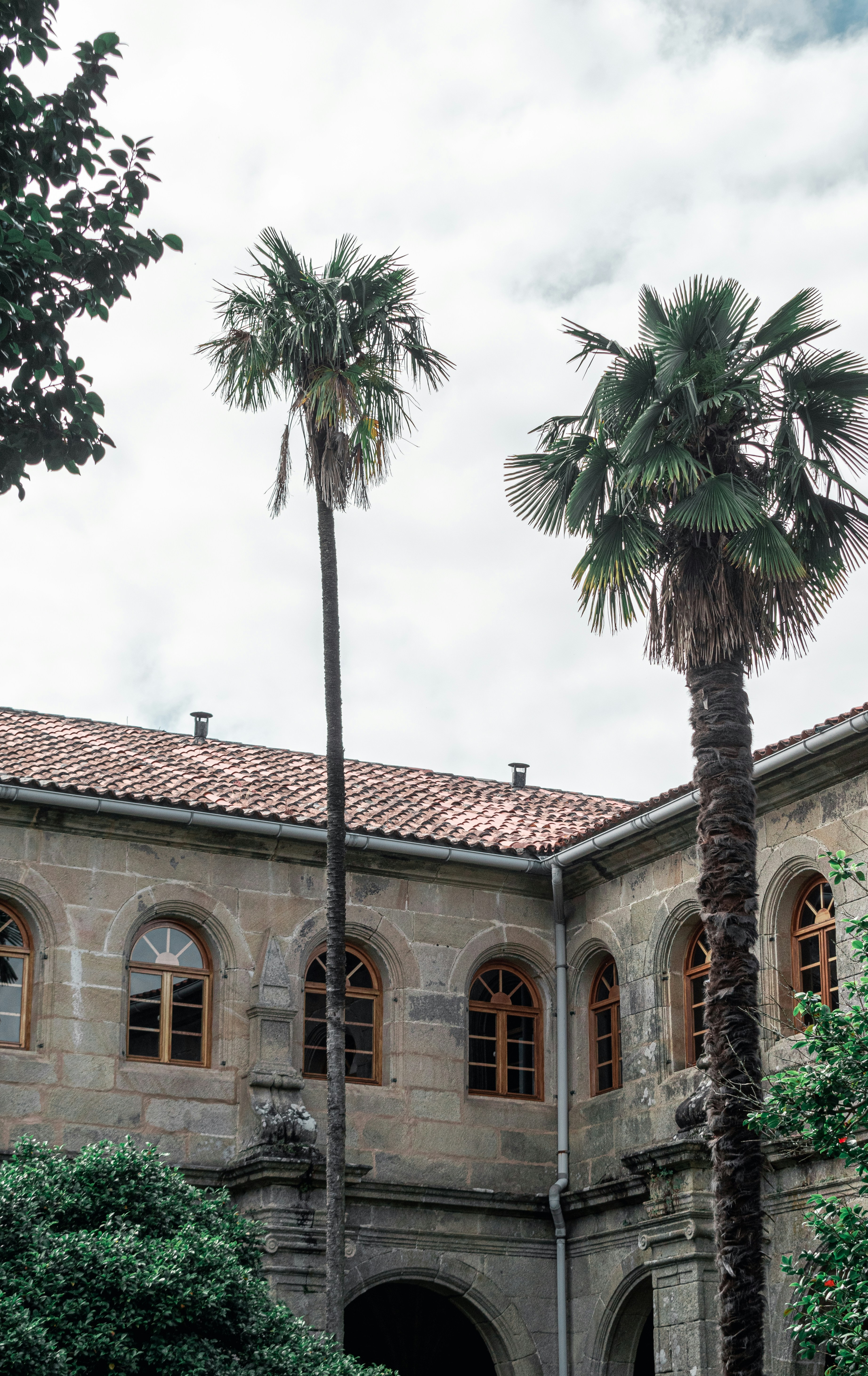 Photo by vadym_alyekseyenko